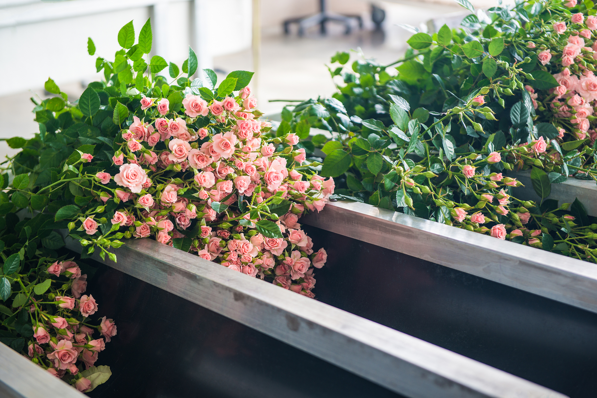 兰州园艺学校2021年宿舍条件