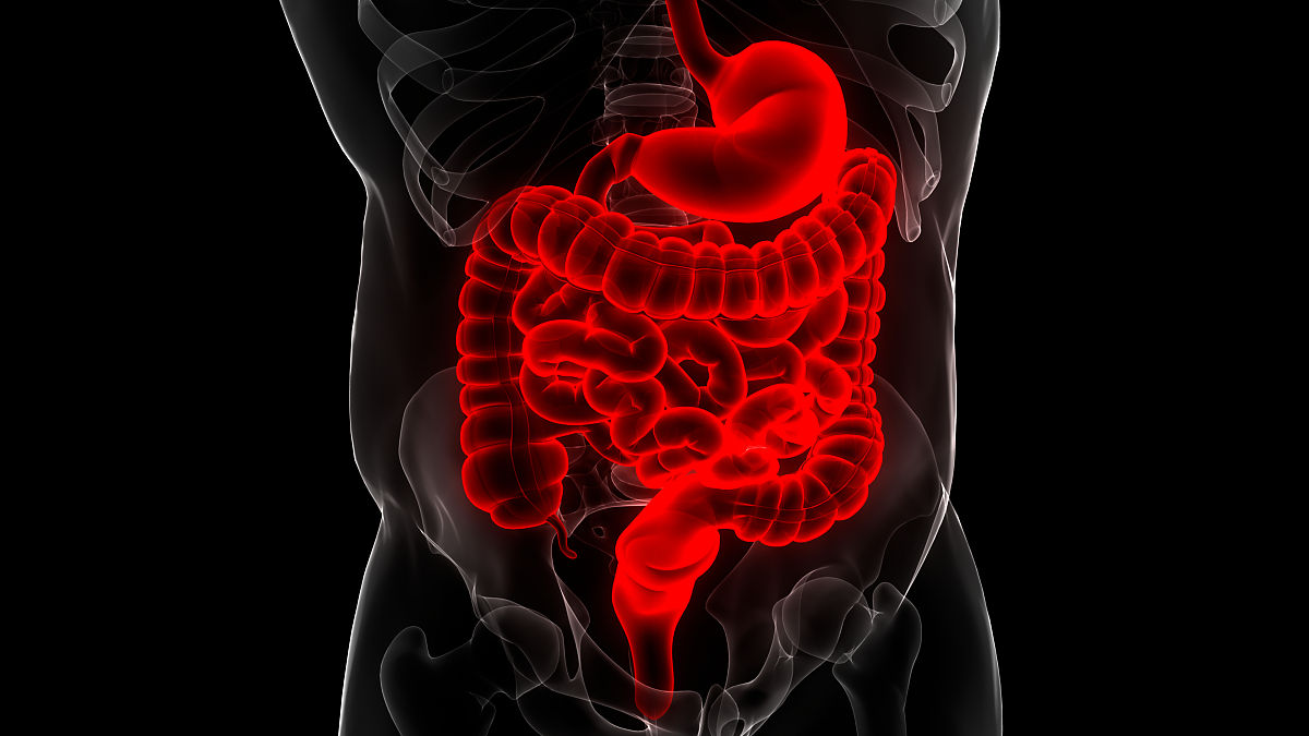 寒邪入侵导致胆囊收缩功能下降？试试灌南苦菜汤！