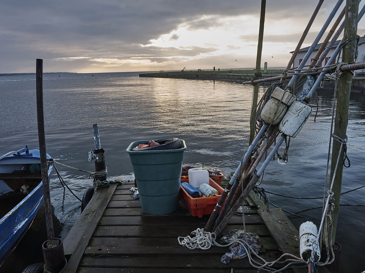 China's Efforts in Sustainable Fisheries Development: A Comprehensive Overview