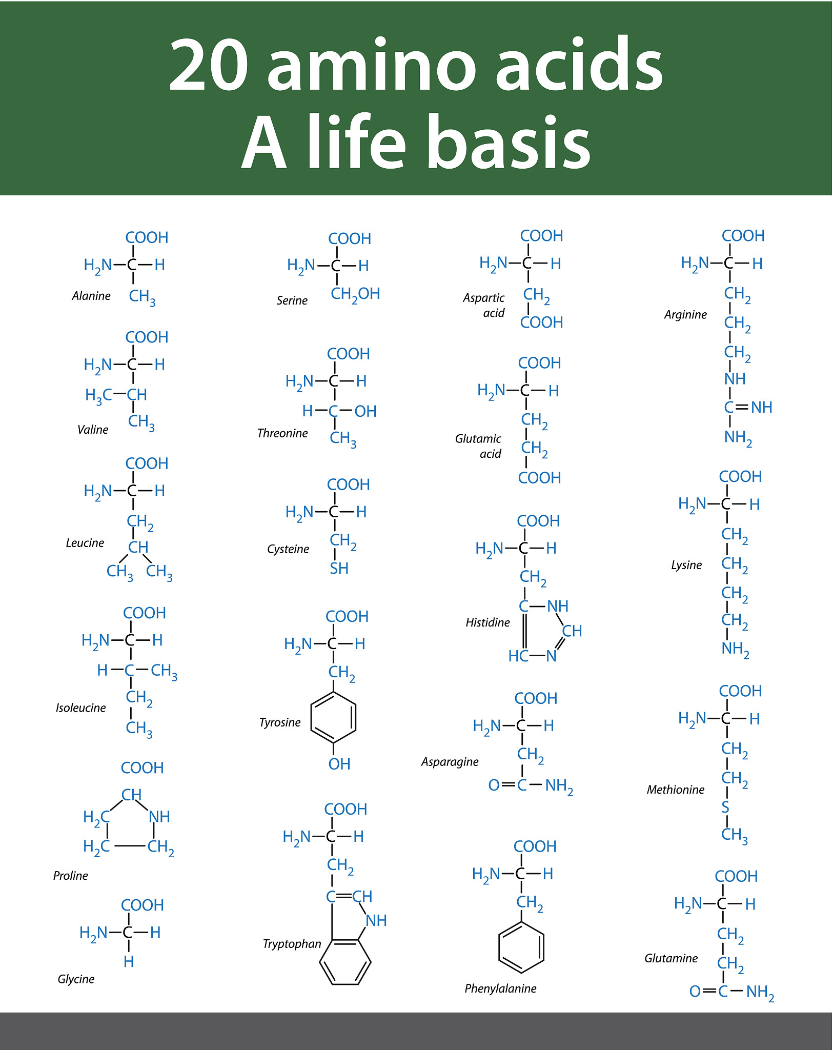 CGU 字母组合能组成哪些单词？全部列出！