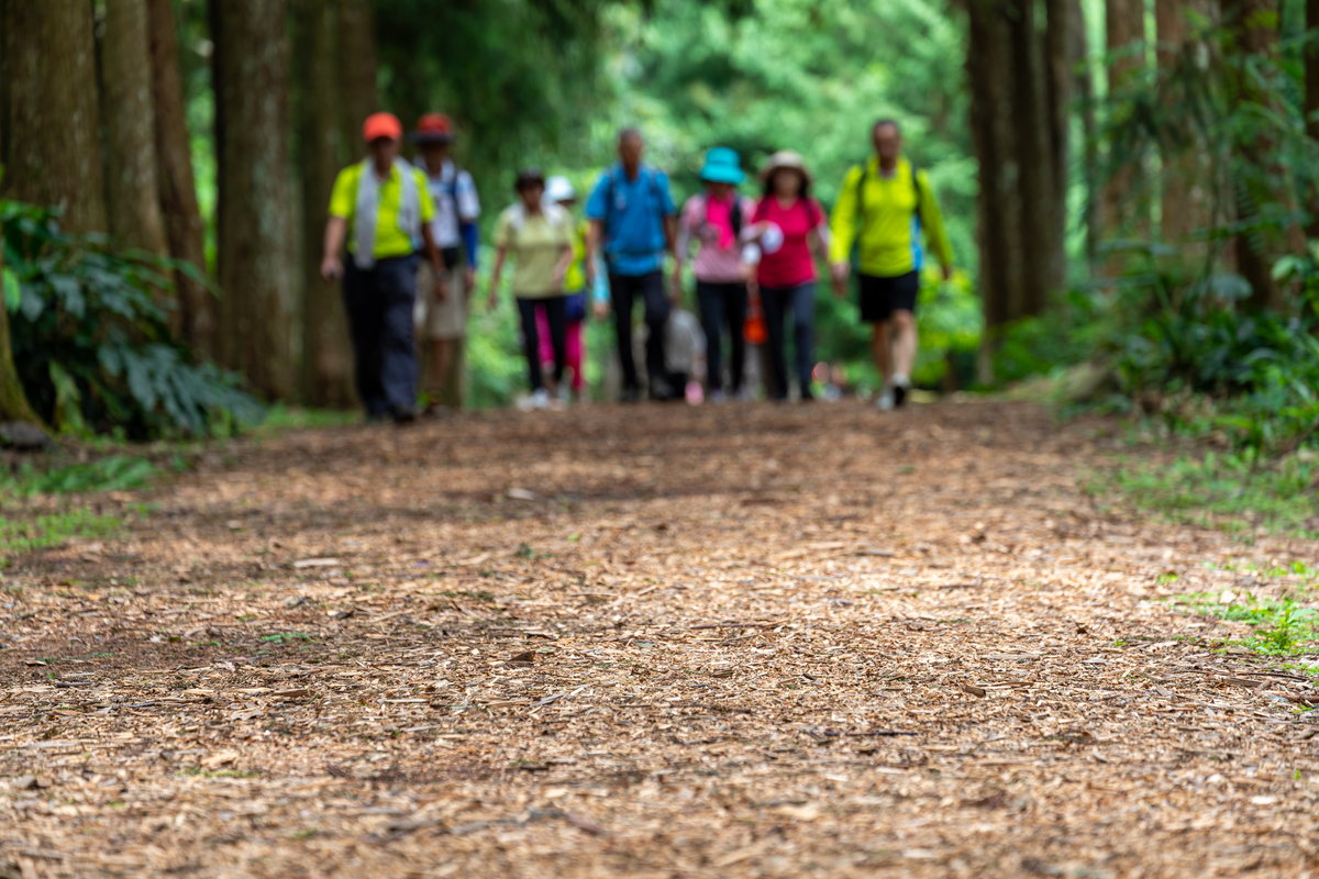 徒步运动的意义
