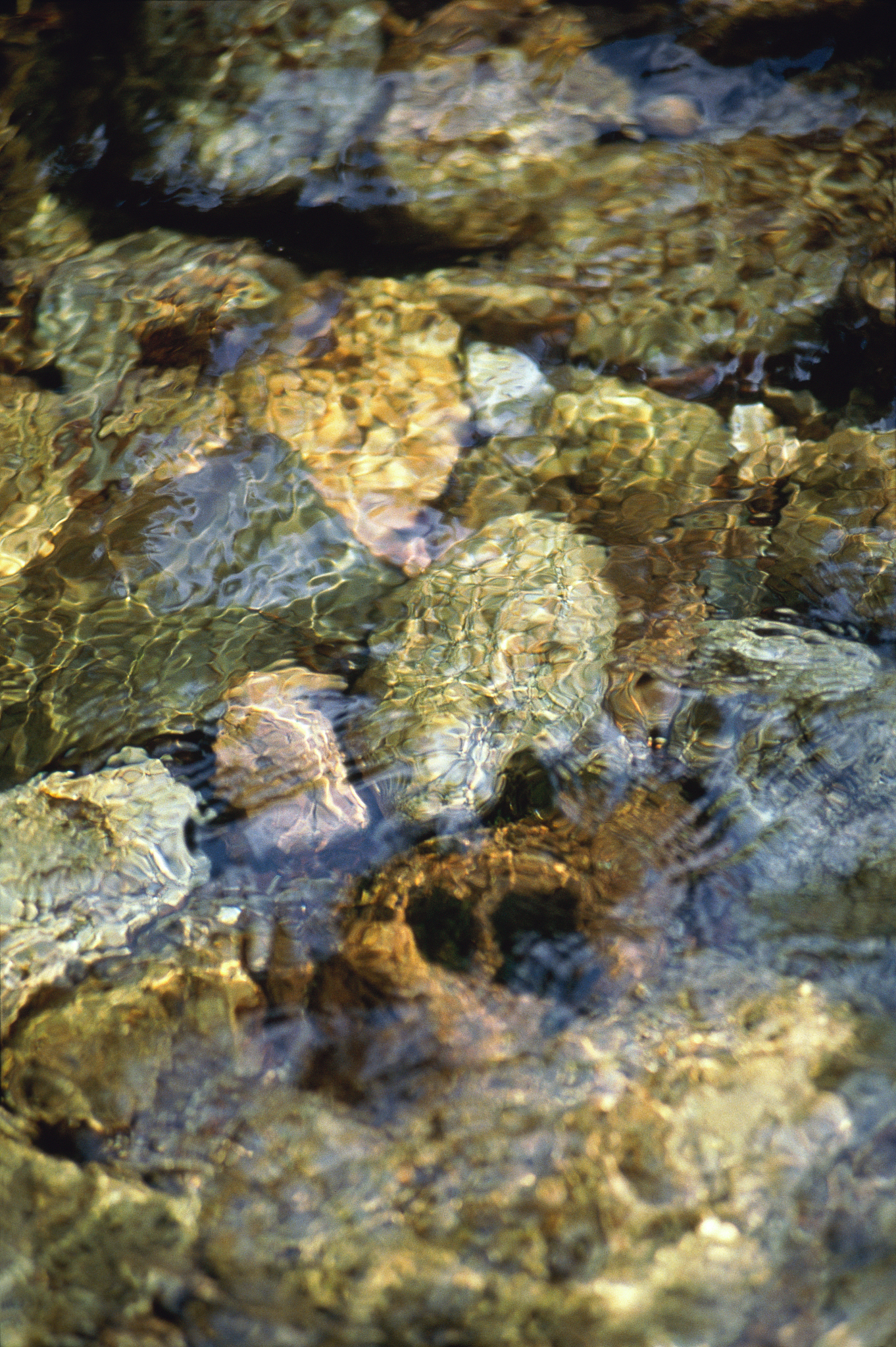 rocks underwater