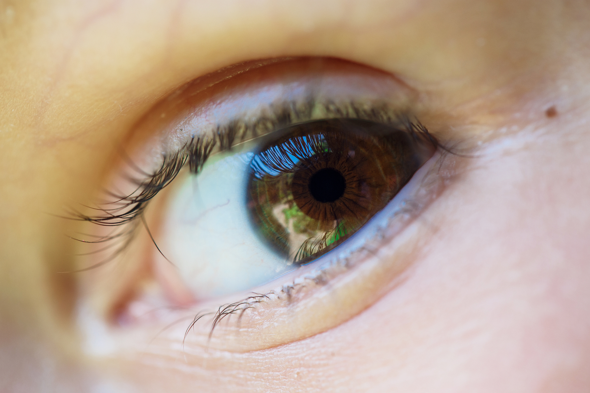 beautiful brown eyes of a little boy