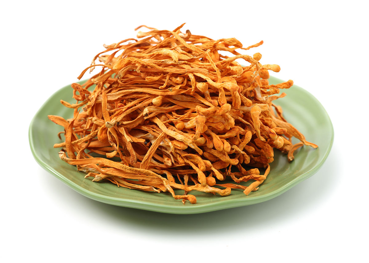 国珍牌松花蛹虫草粉是否适合素食者食用？