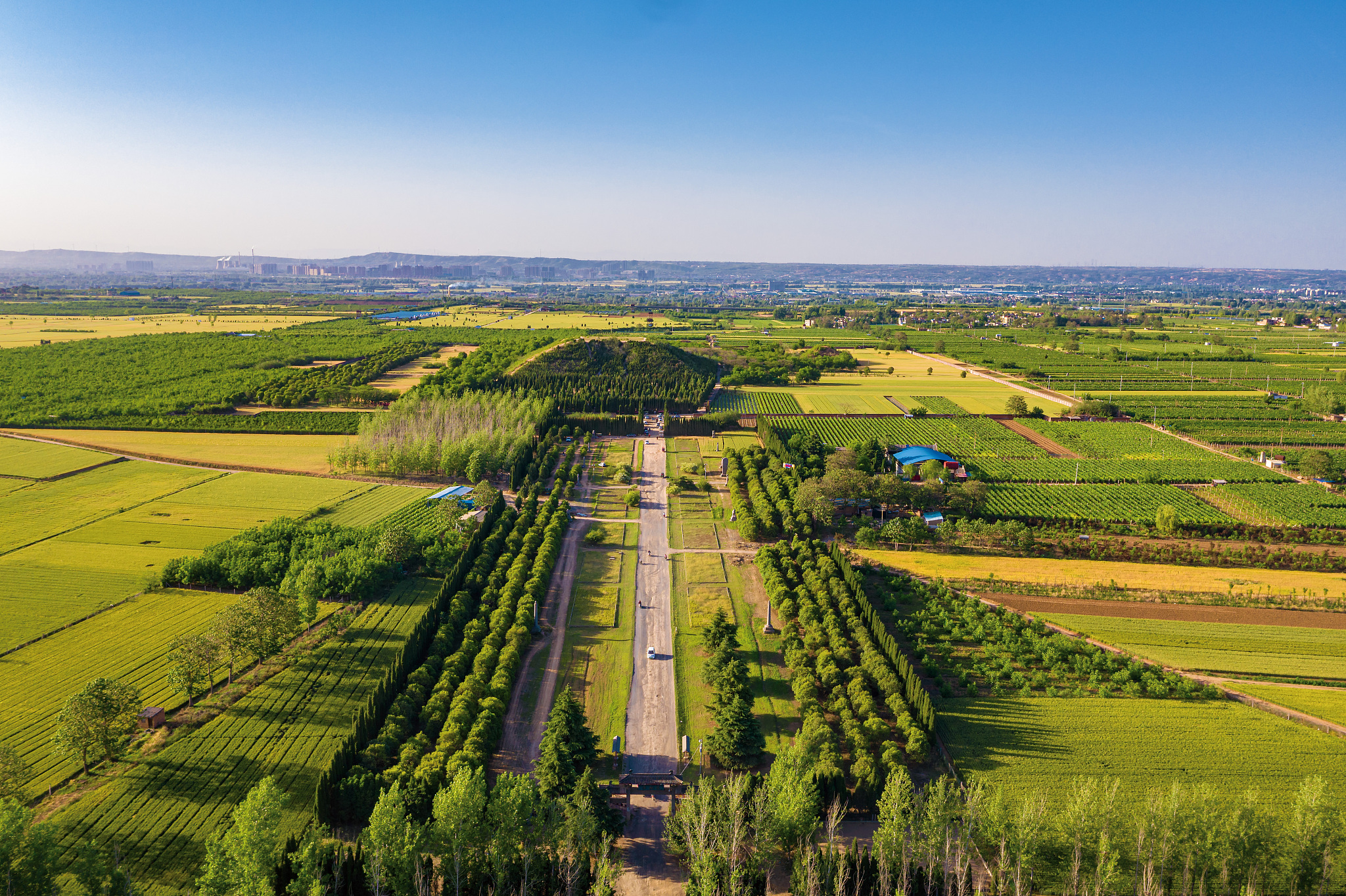河南农业职业学院动漫设计与制作专业课程设置详解