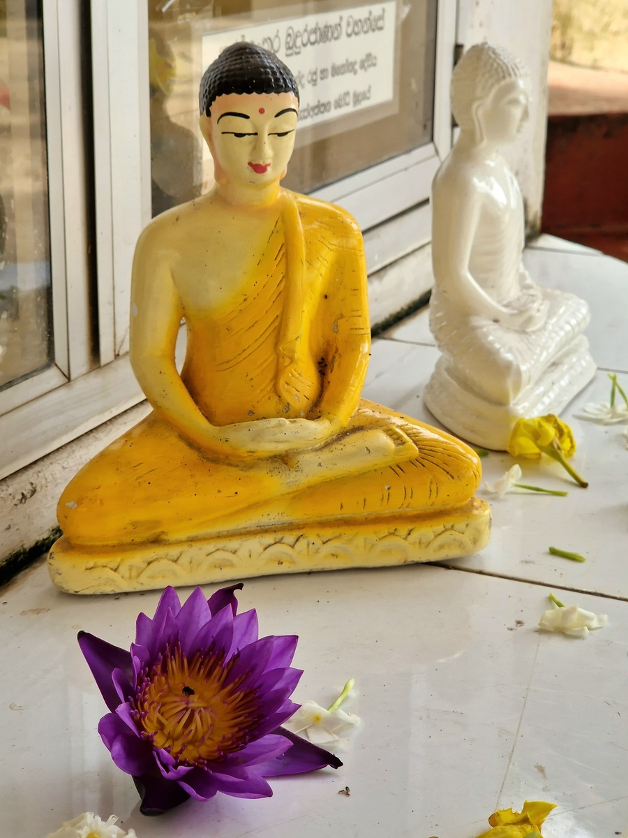 佛陀的慈悲：中文歌曲歌词