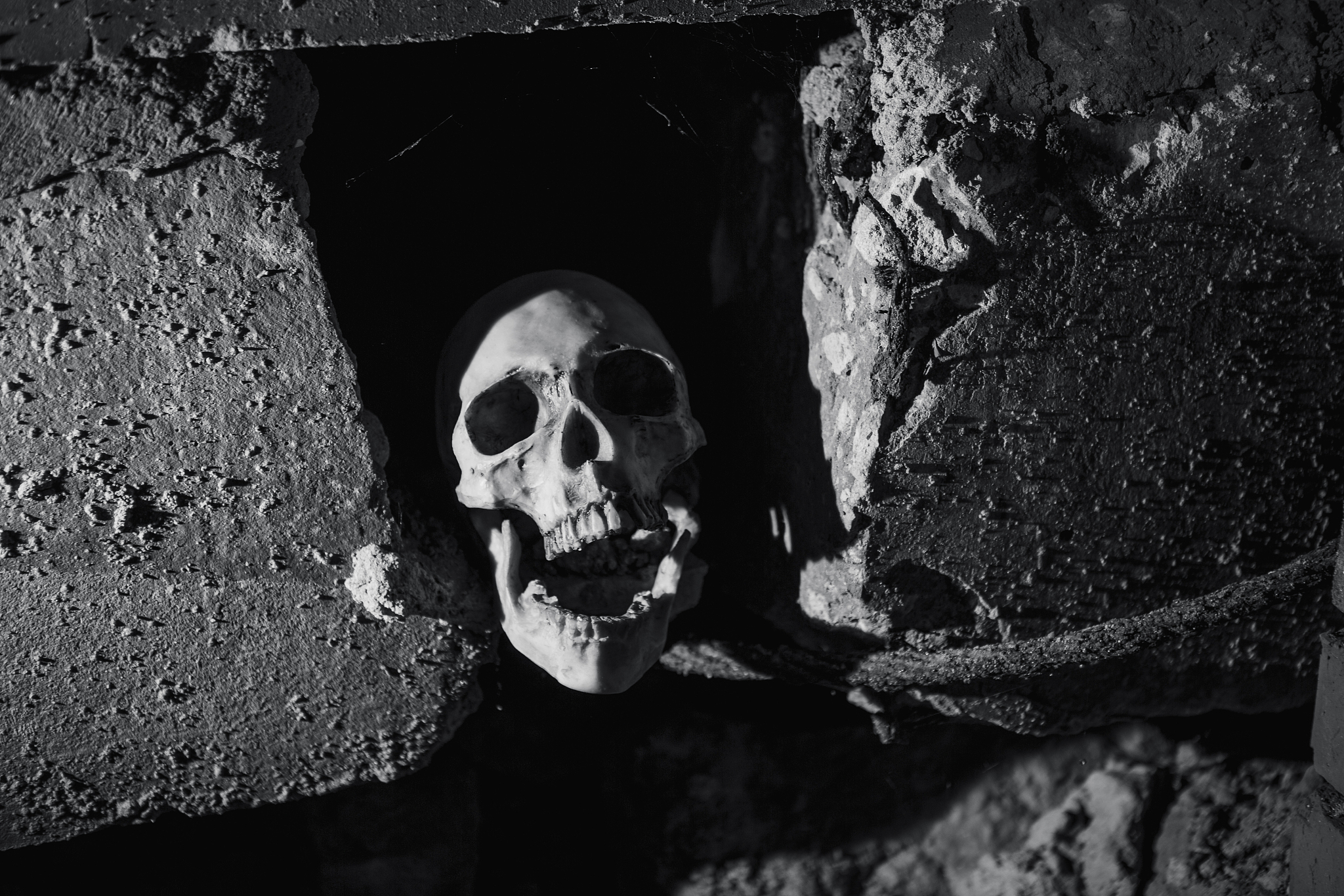 the skull in the dark basement is illuminated by harsh light.