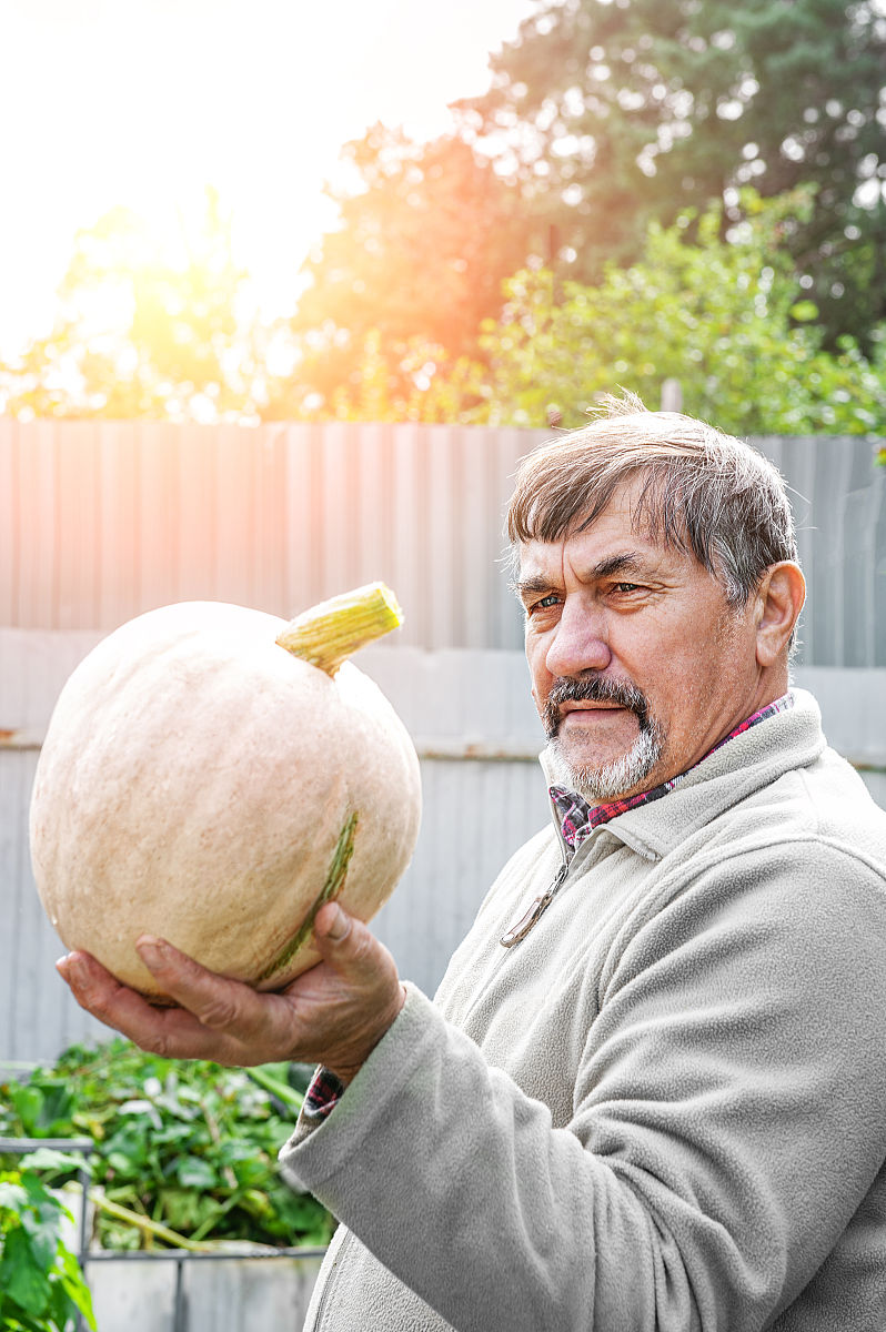 黑龙江农业职业技术学院应用俄语专业课程设置详解
