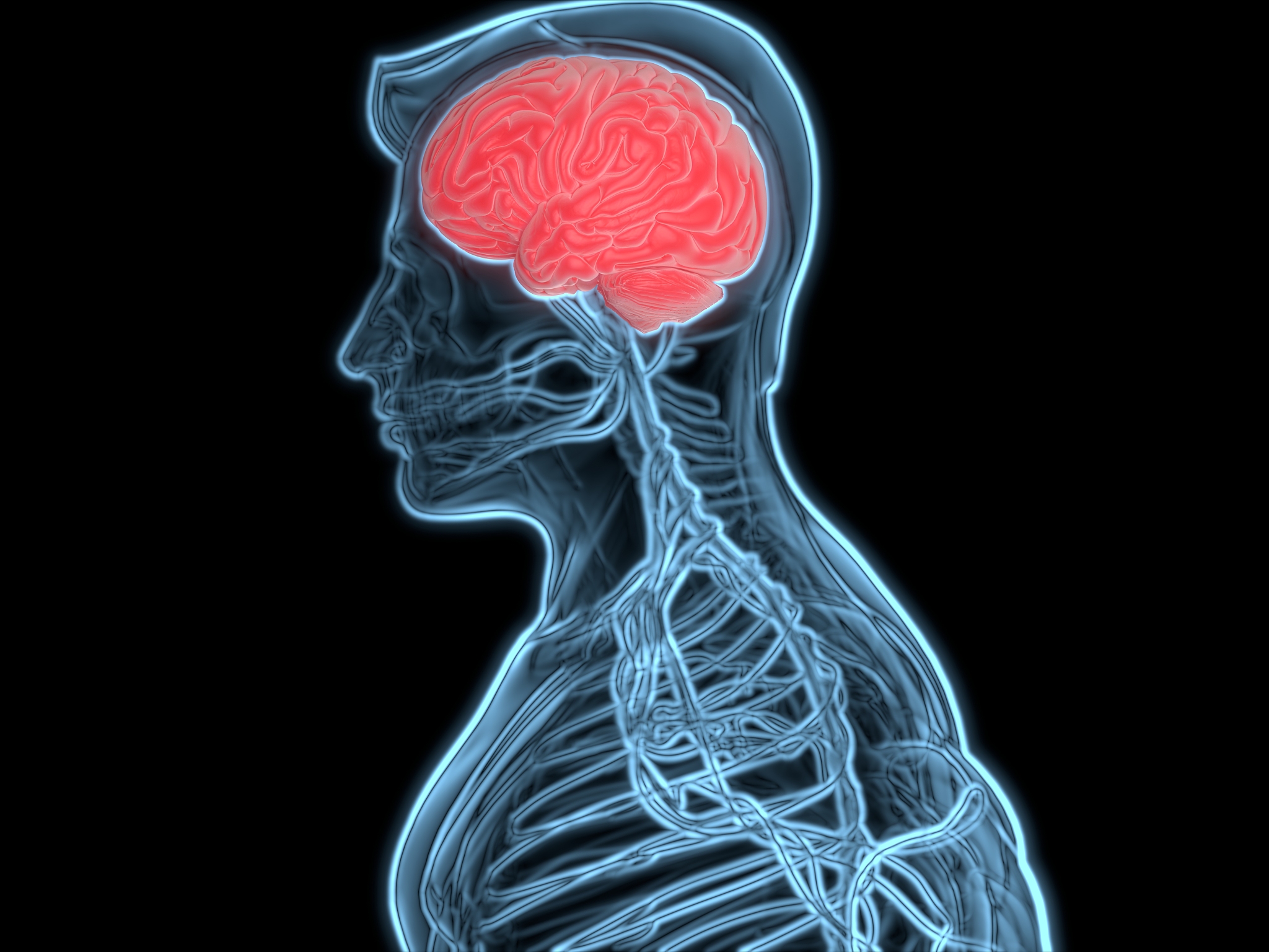 请问人类的工作原理是什么