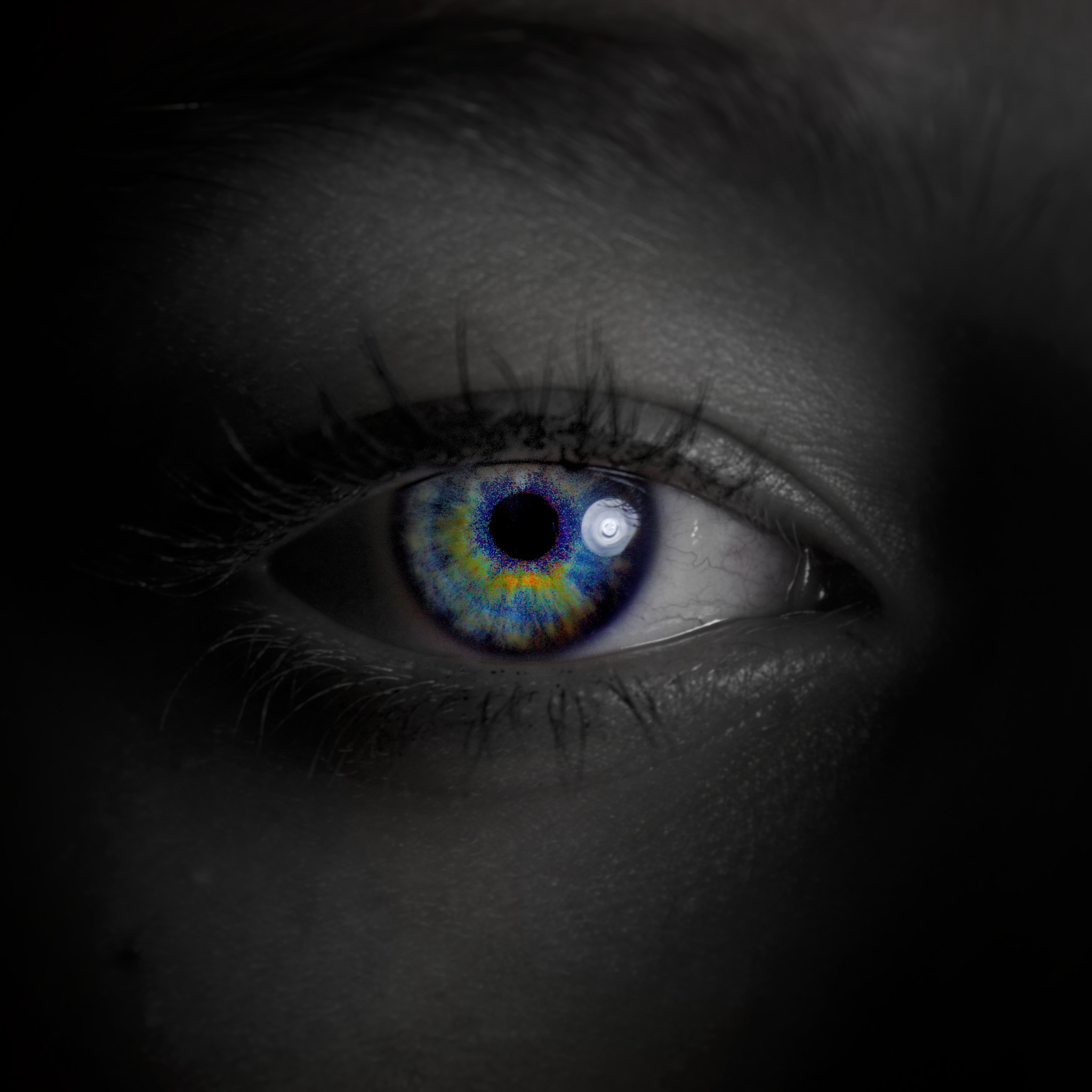 close-up of human eye