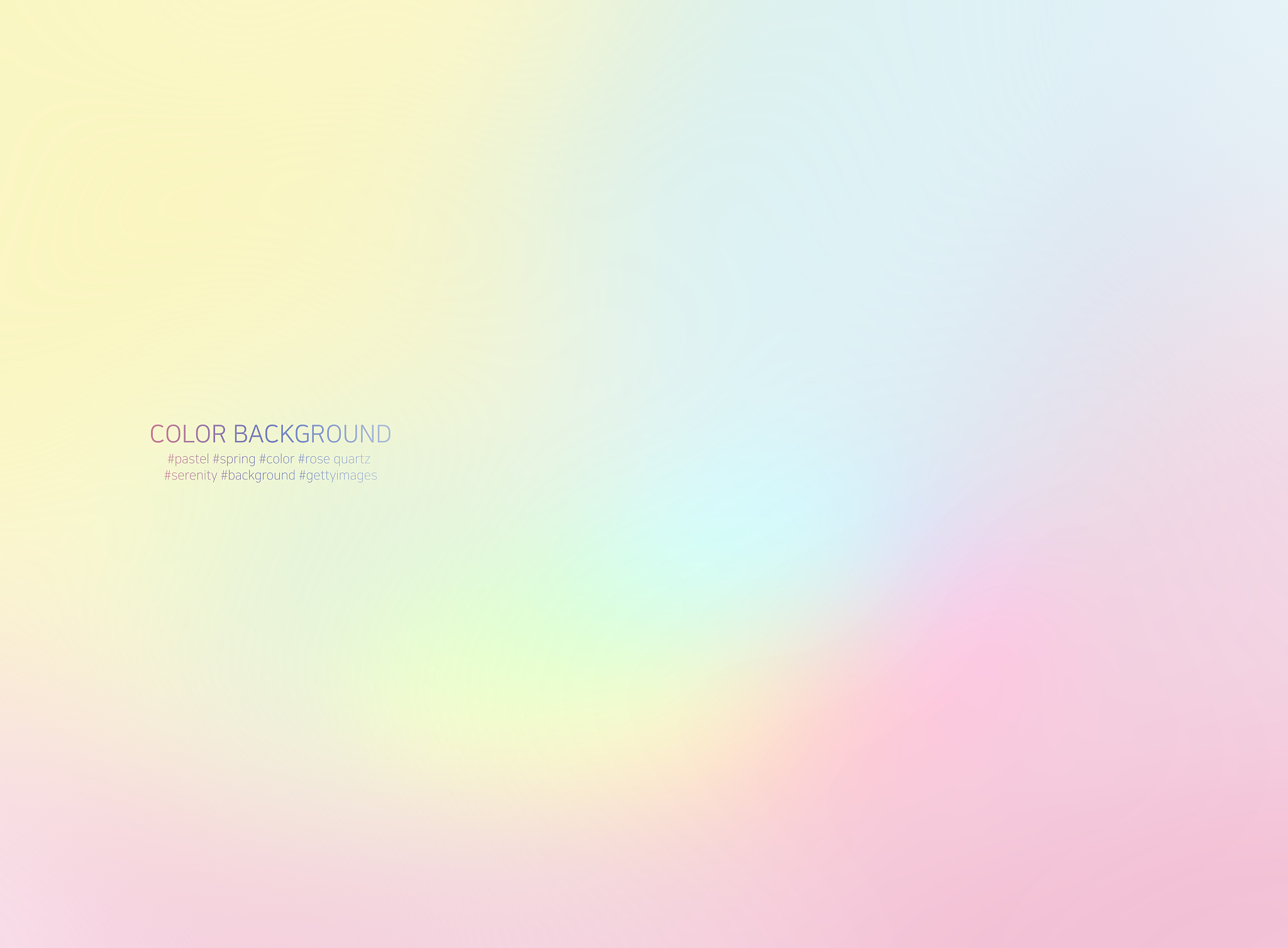 我的页面有4种颜色可选 分别是黑 绿 紫 粉 请给我的每个颜色命名 要包含意境的 4个字