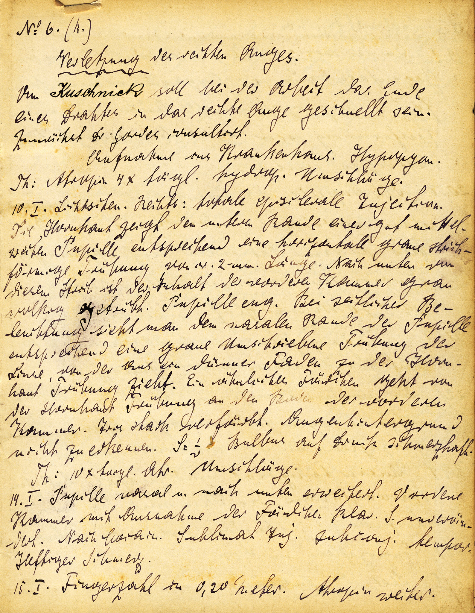 J.D. Salinger: A Prolific Writer From a Young Age