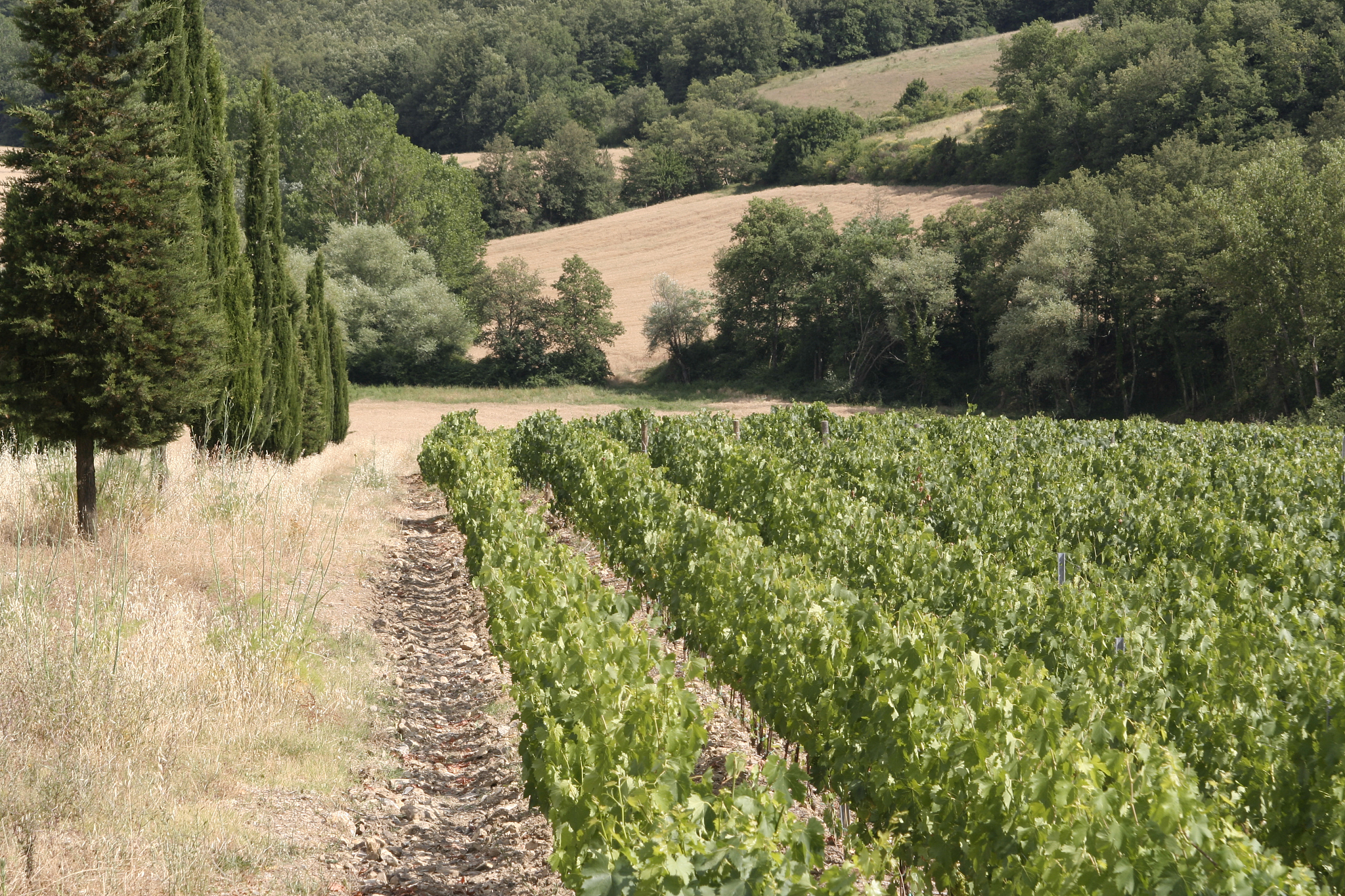 tuscan skyline 02