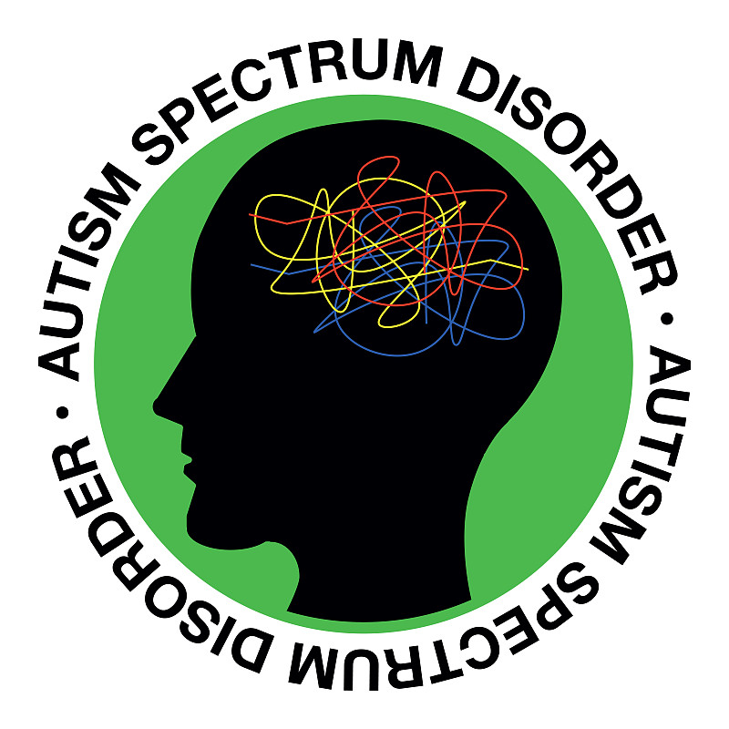 自闭症儿童的学习特点与应对策略