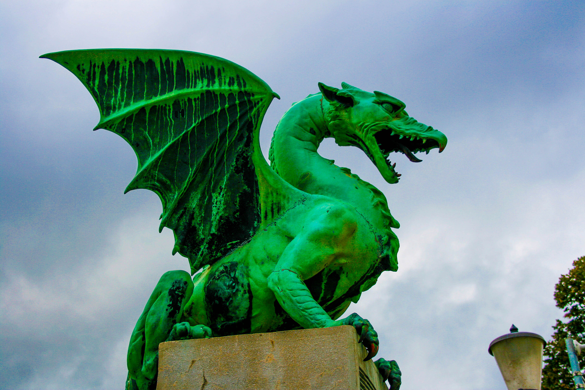 dragon