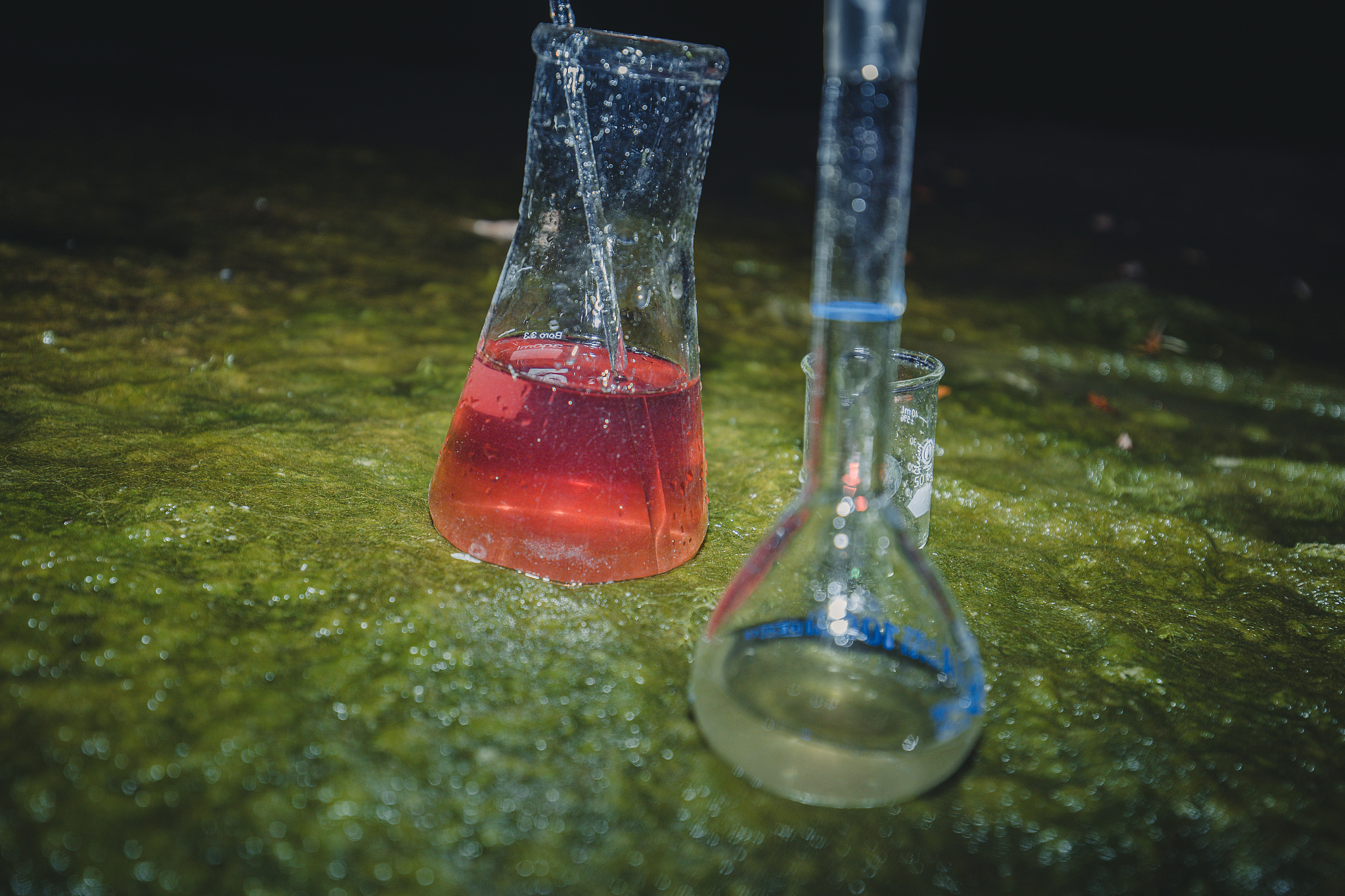 酚酞在水中的溶解度