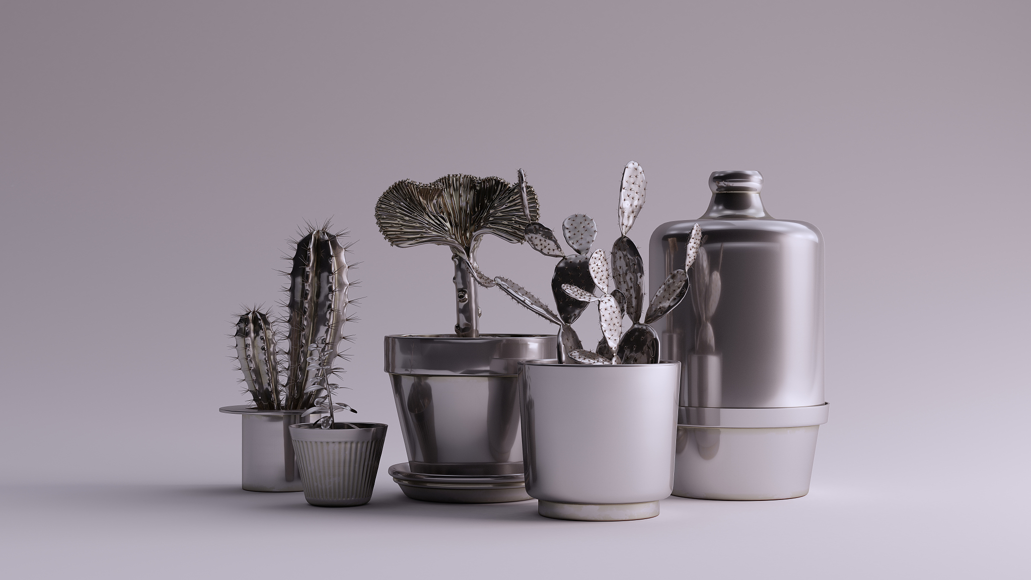 silver collection of cacti
