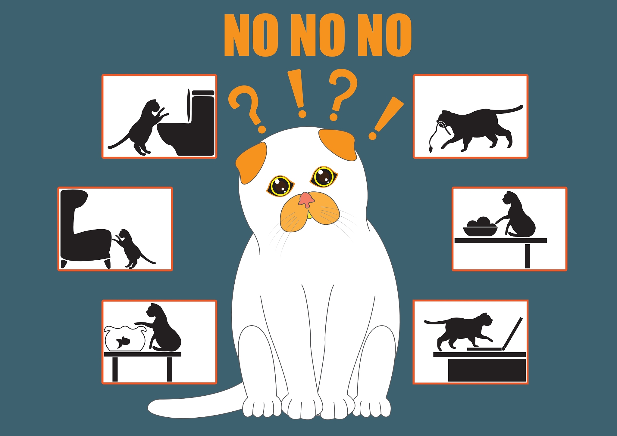 深度学习猫狗分类：应用、研究和数据集构建的意义