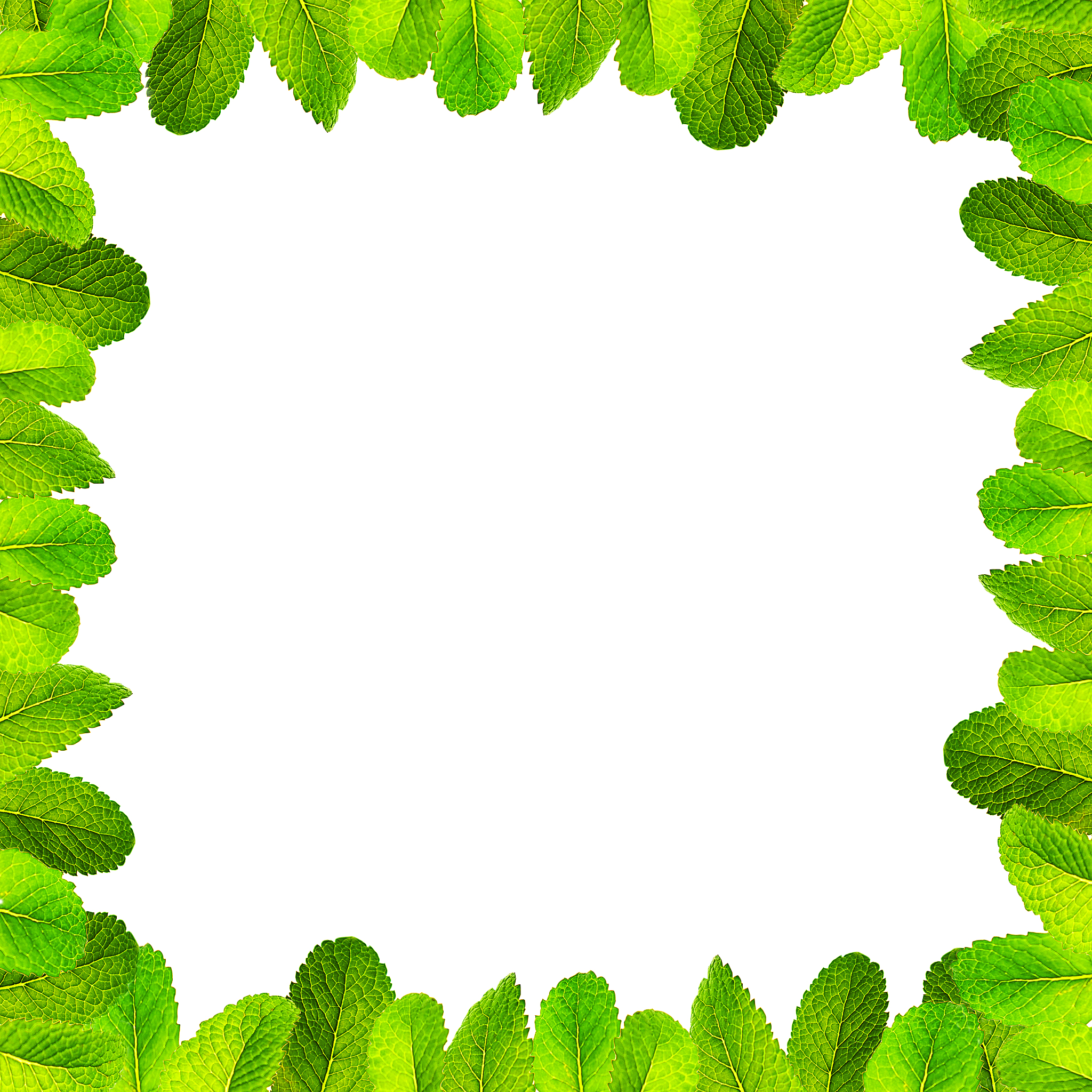 pattern made of fresh flying green mint leaves on trendy 2020 ne