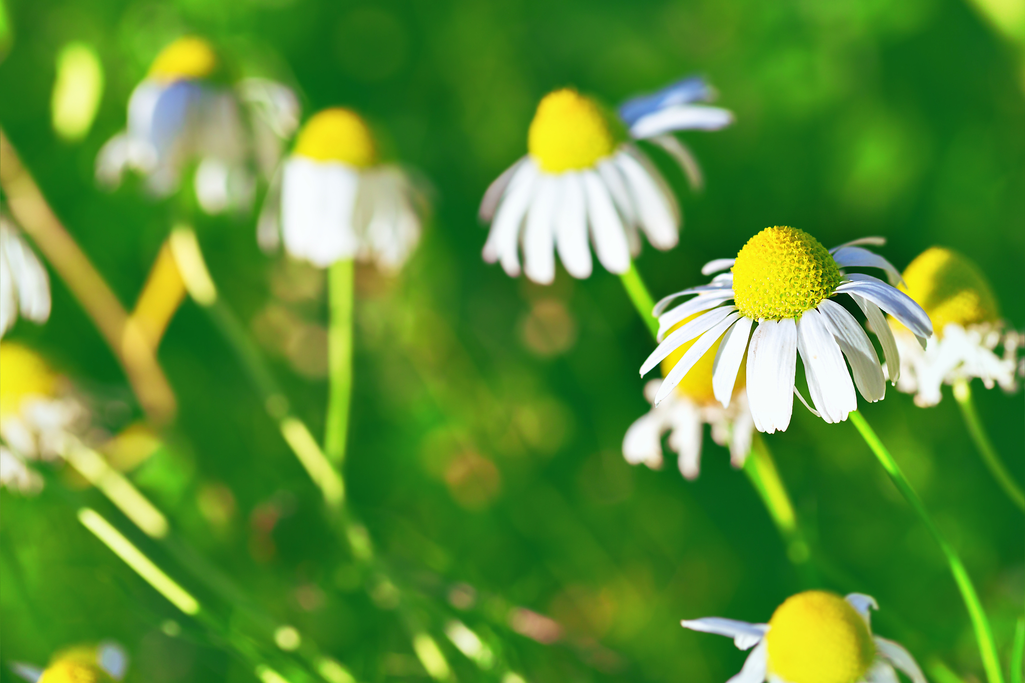 漳州职业技术学院环境工程技术专业优势及就业前景分析
