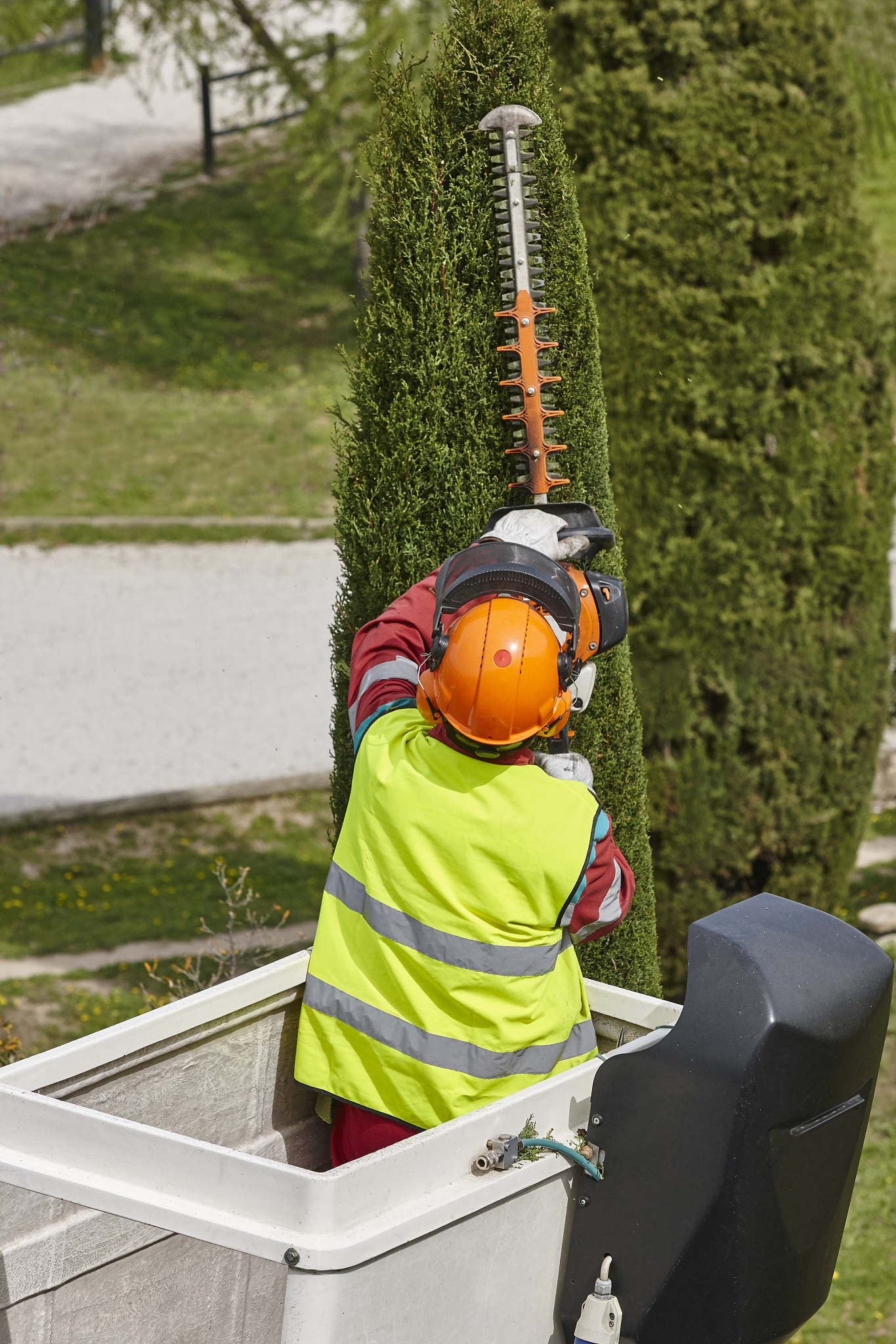 济宁农业学校有哪些专业