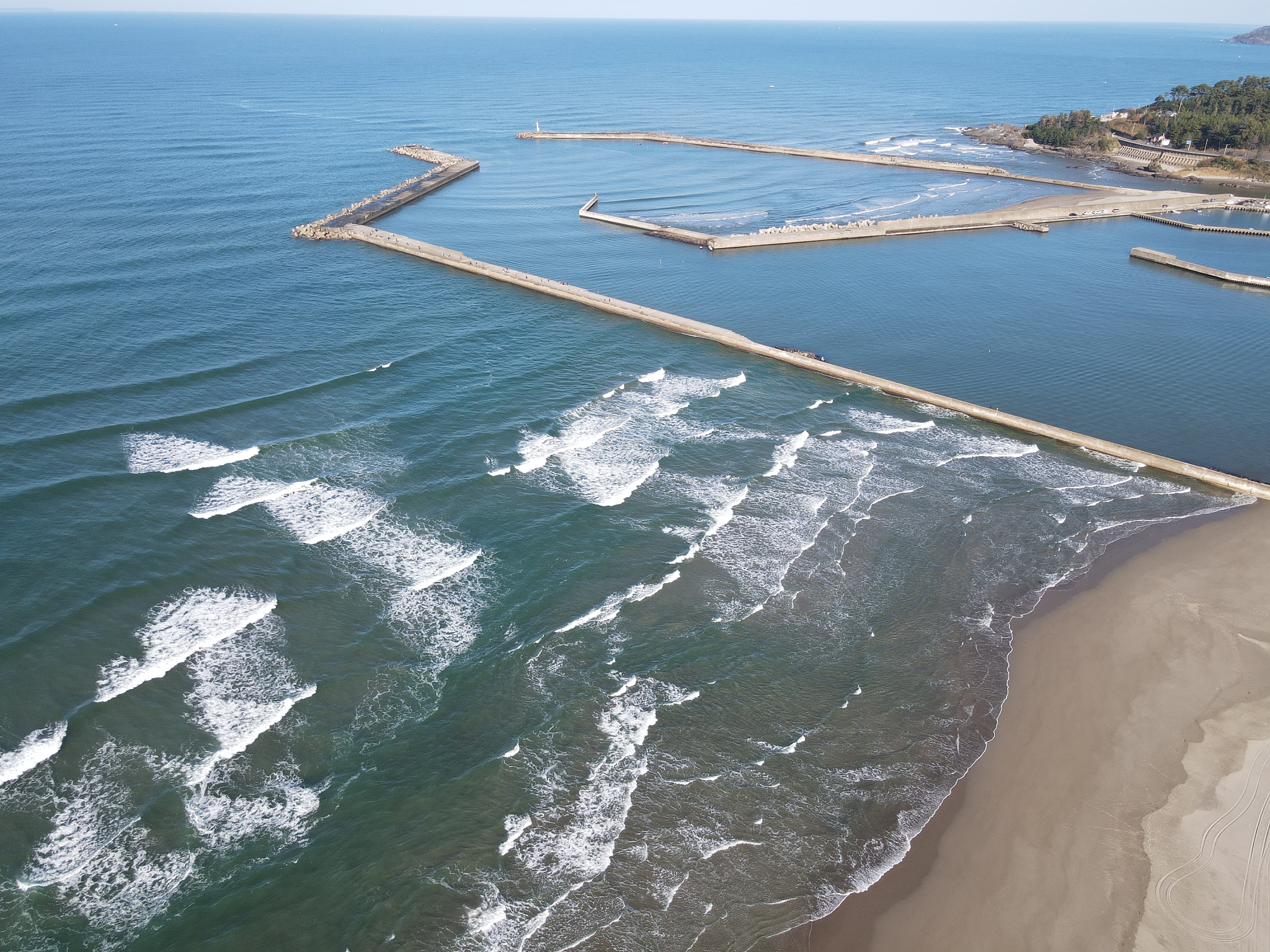 海岸的重要性：生态、经济和自然防御