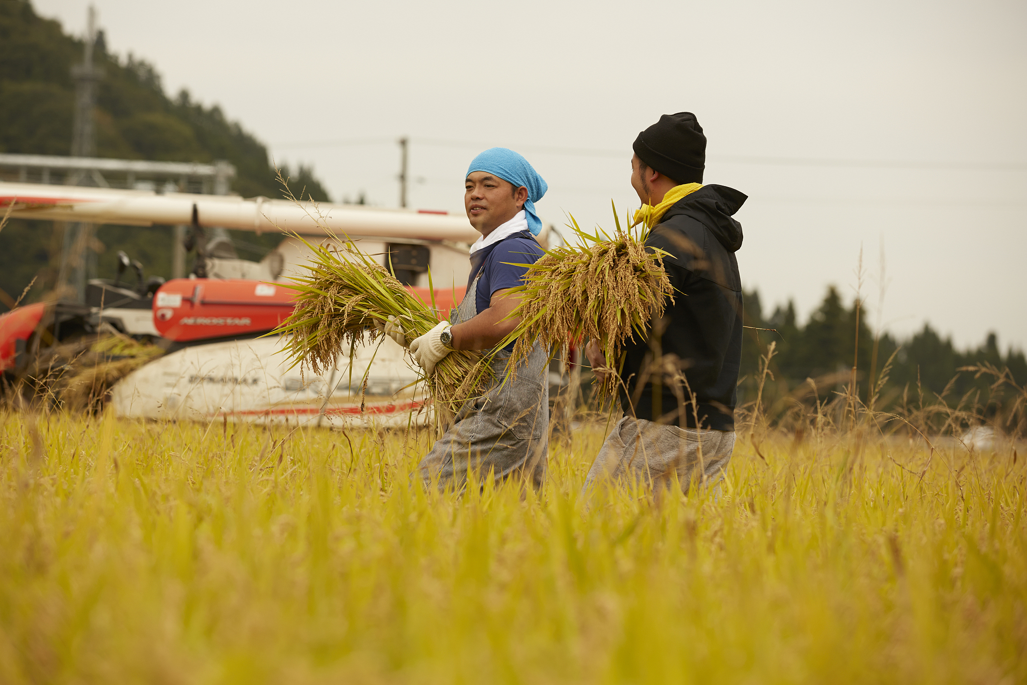 粮农组织21世纪援助落后国家案例：尼日利亚、孟加拉国、玻利维亚、马里