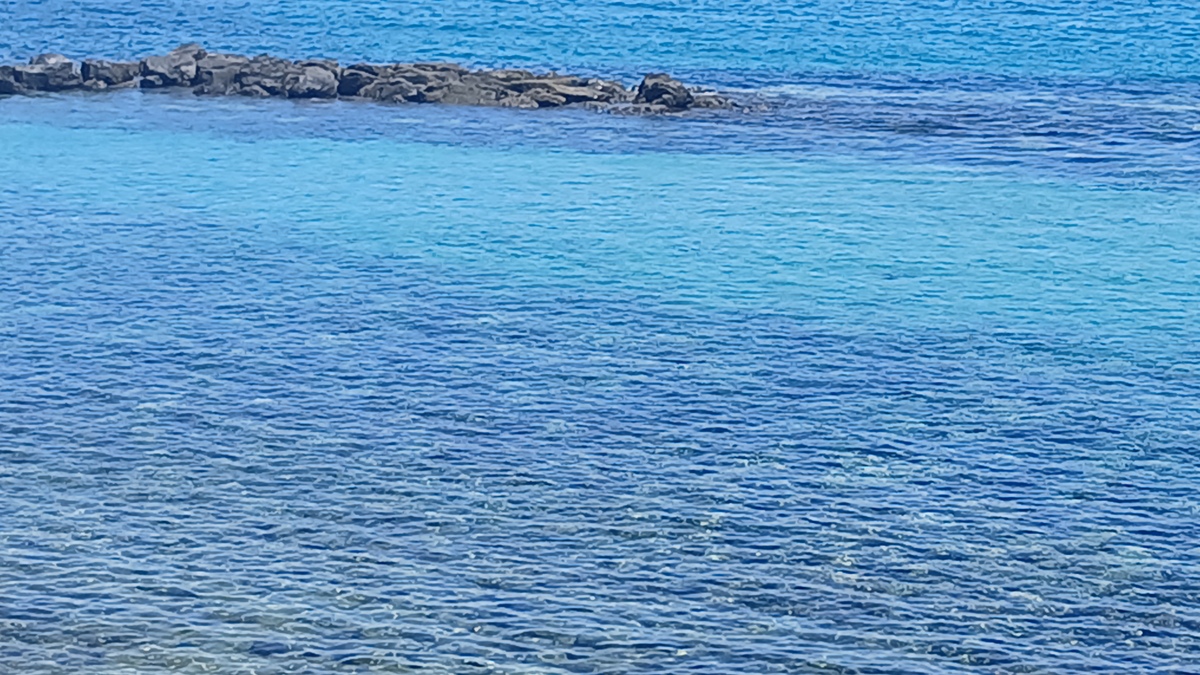 大海的自述：蓝色星球的呼唤