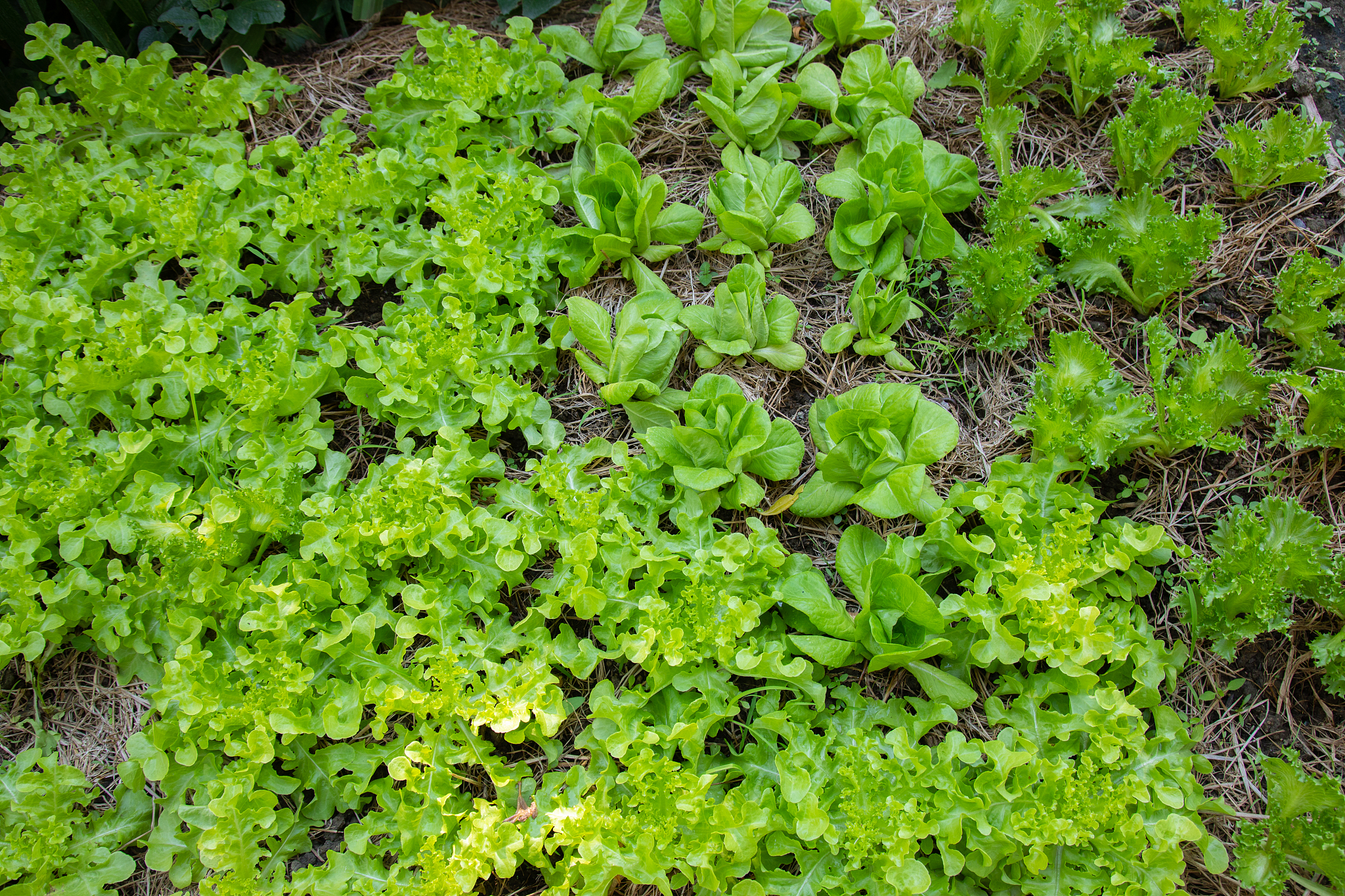 高中化学选修3的结构难还是有机难？