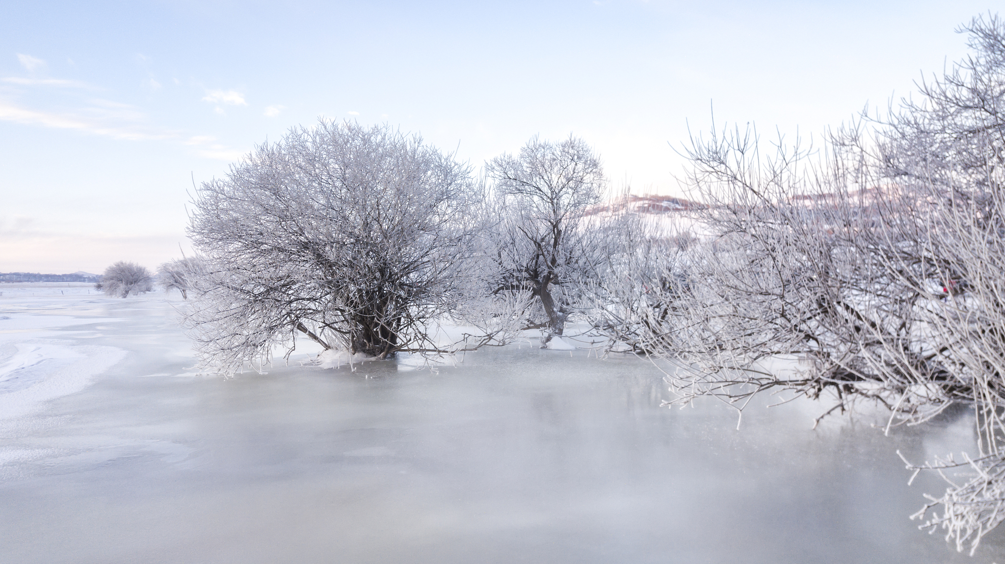 大雪初晴，银装素裹的静谧世界