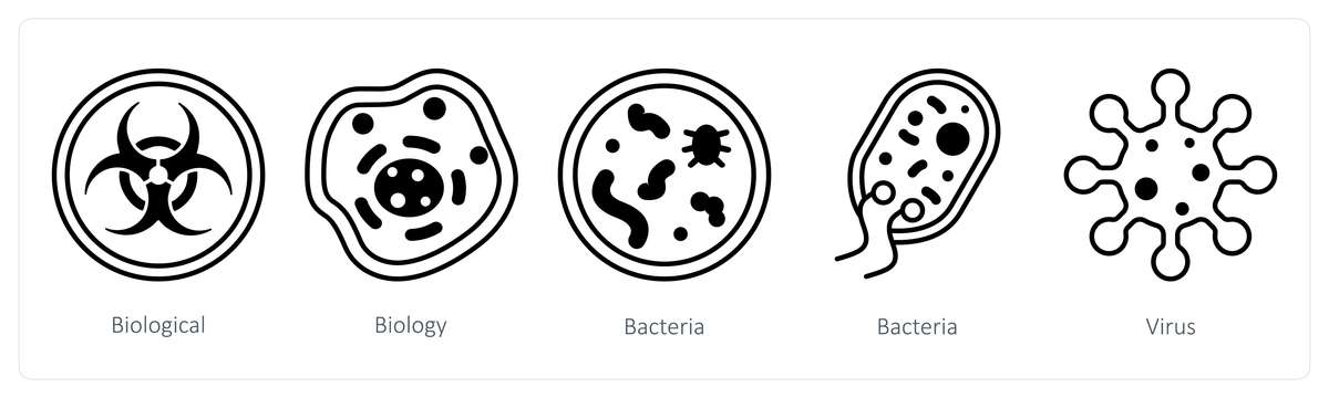 细菌的繁殖方式：裂殖、出芽繁殖和芽孢形成