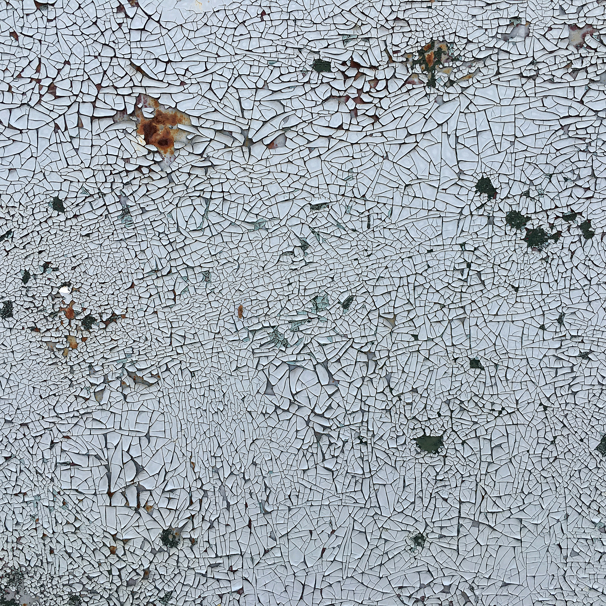 细粒度图像识别和检索的任务是互补