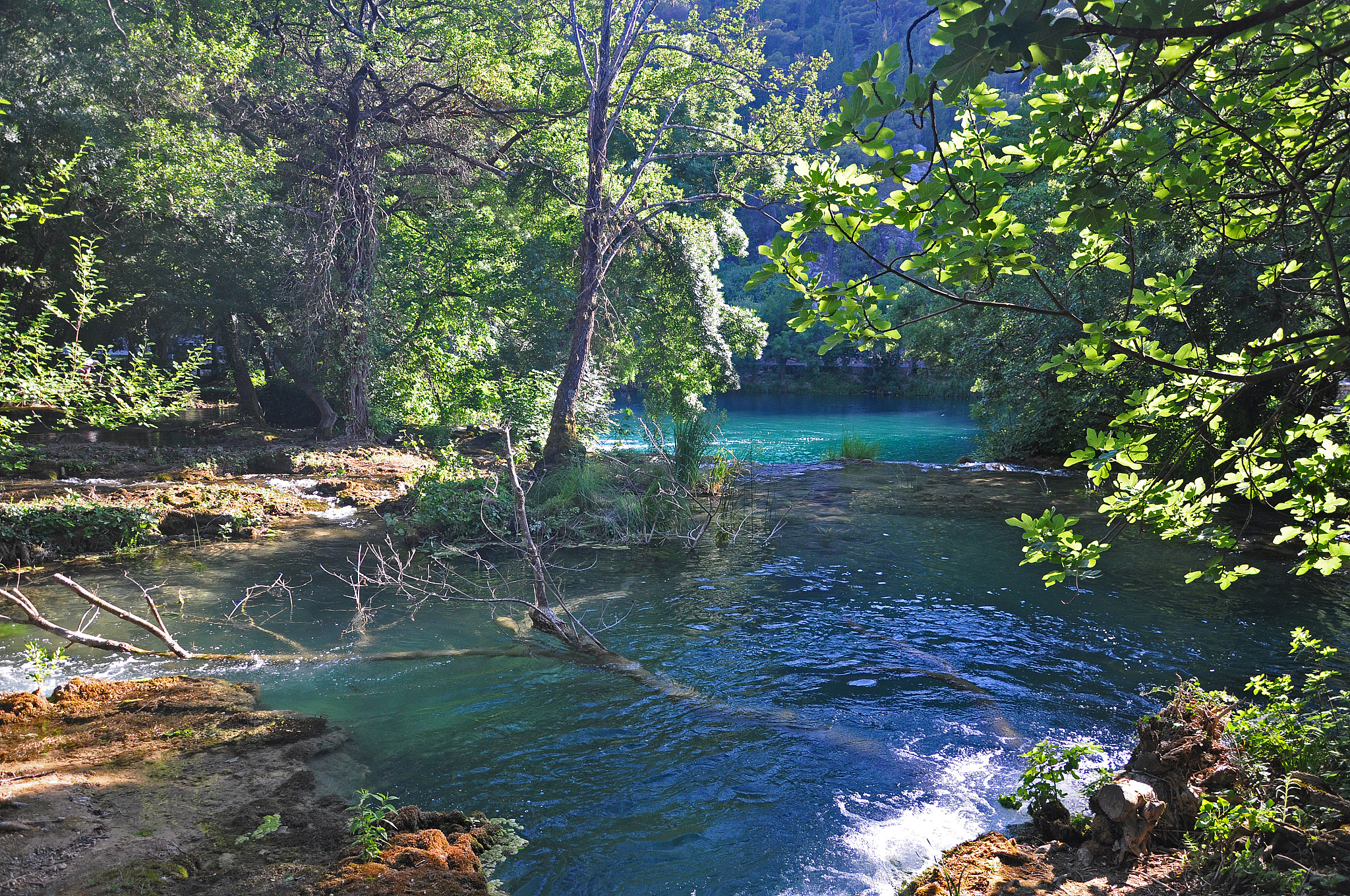 clear waters in national park krka in croatia