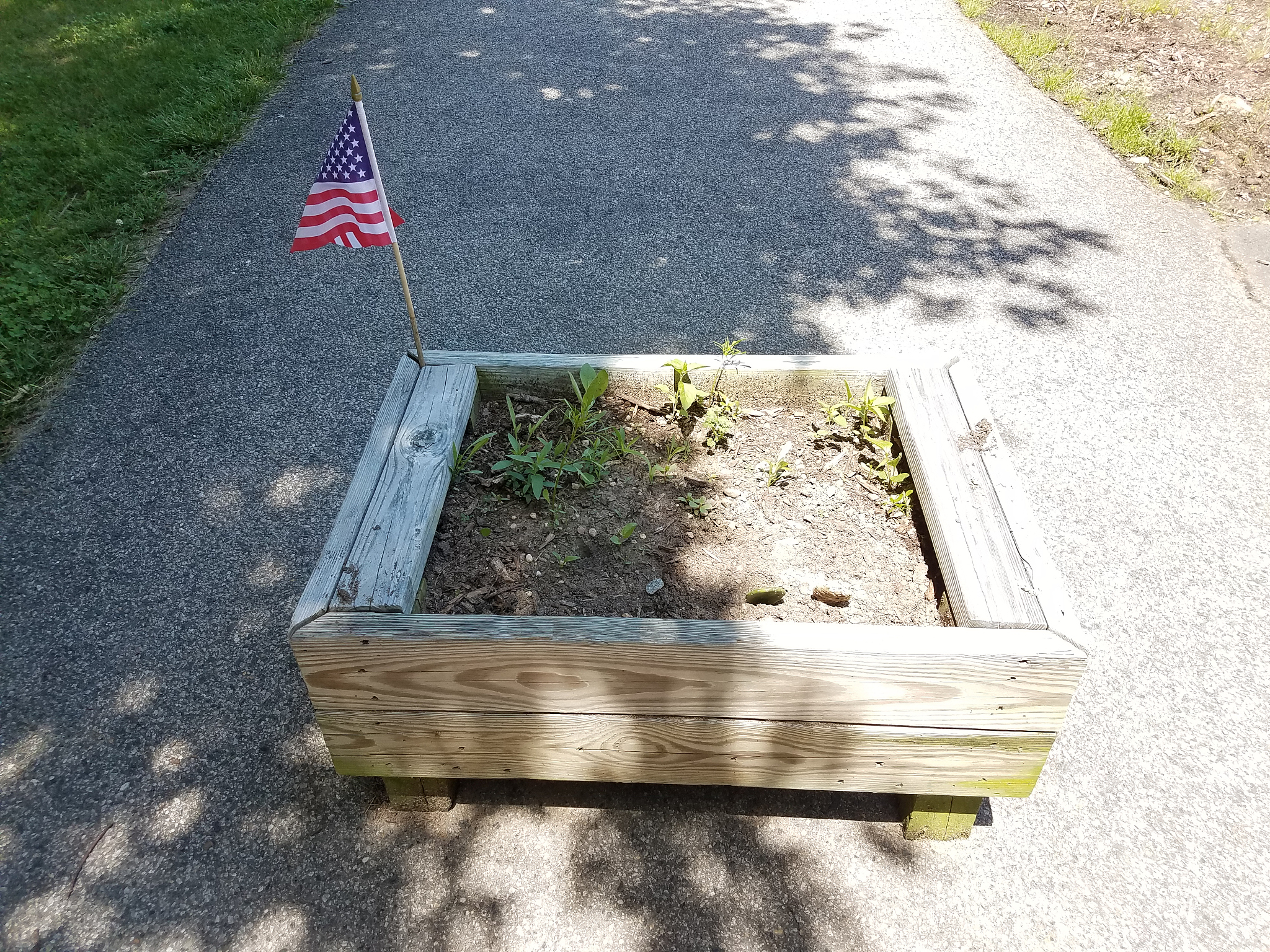 Planters & Raised Beds: A Comprehensive Guide