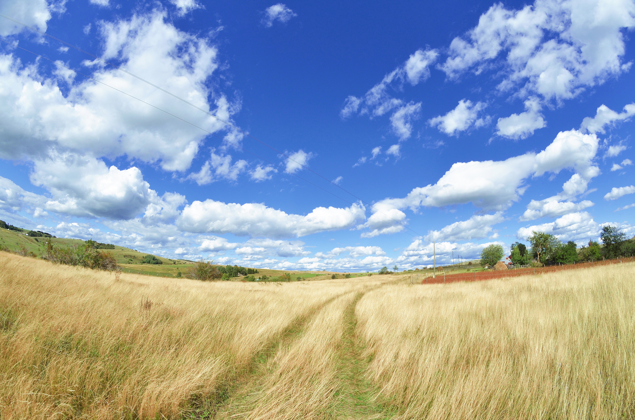 画一张胸有成竹