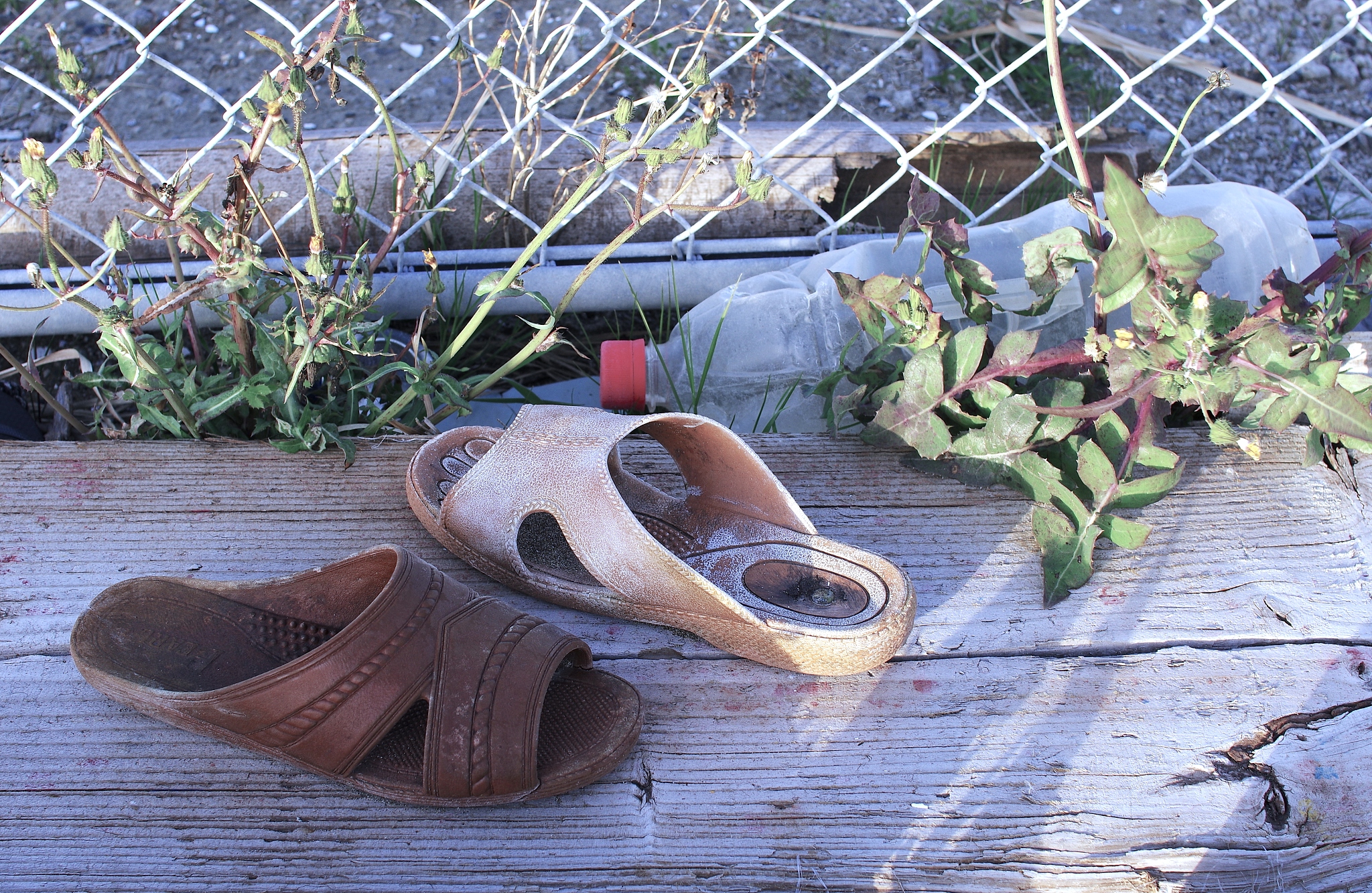 小学生海洋环保实验：动手探索海洋奥秘