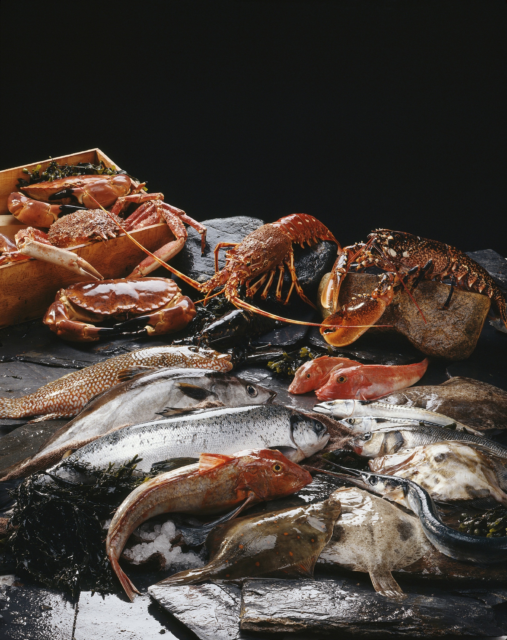 FISH & SHELLFISH IMMUNOLOGY 期刊现任主编是谁？