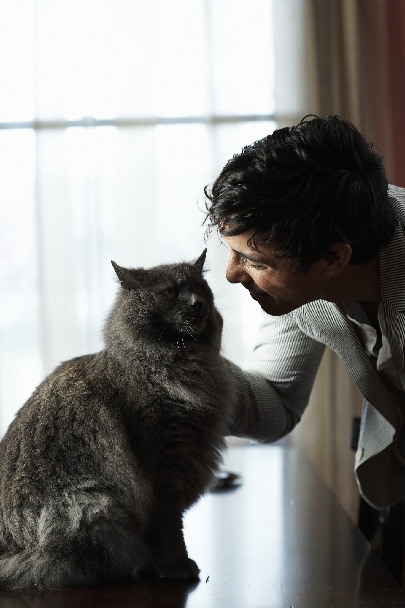 猫男：爱猫人士的独特魅力