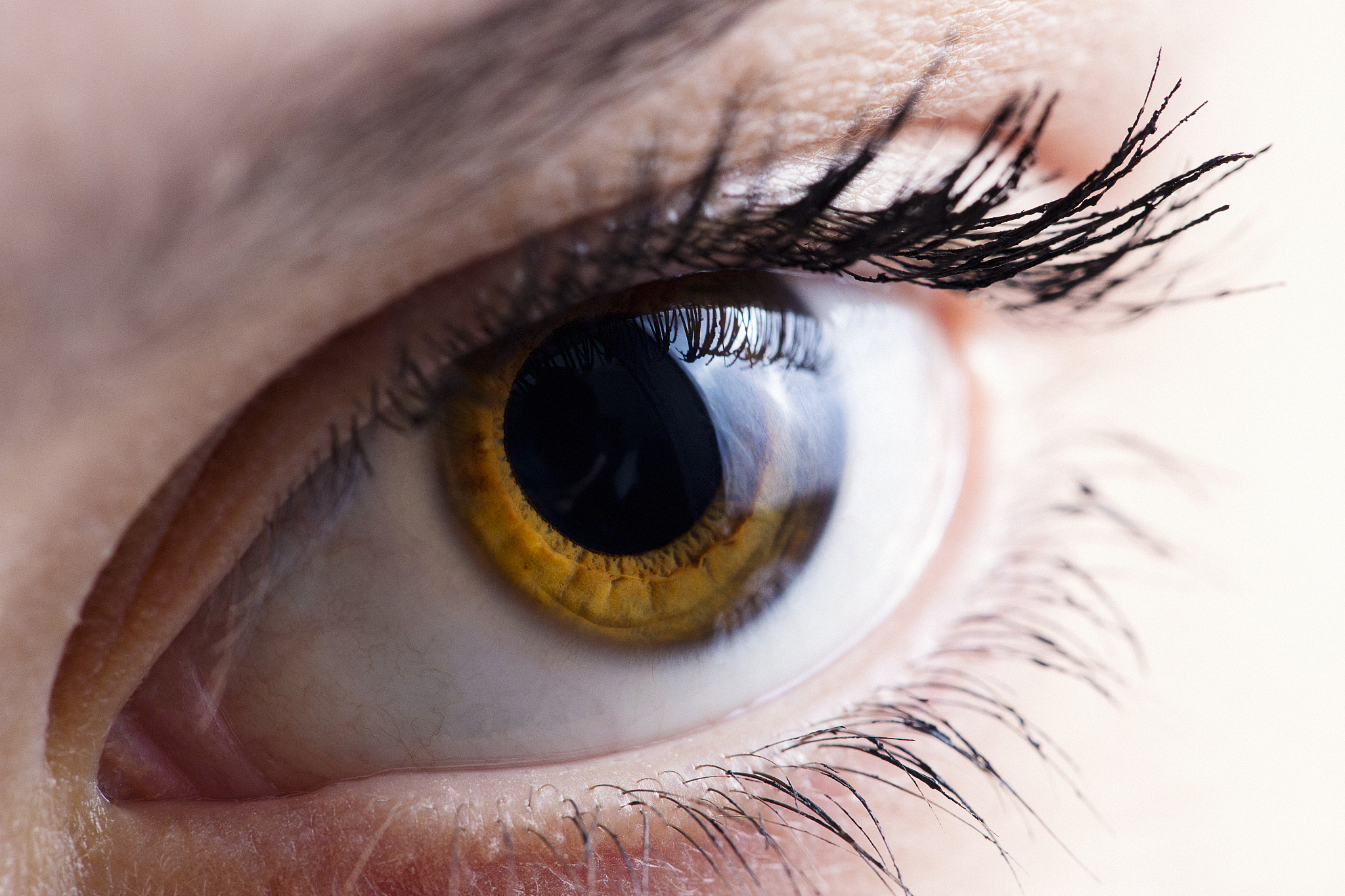 female brown eye macro shot