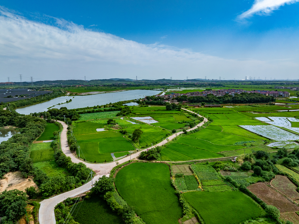 崇明岛：上海的粮仓和后花园，鱼米之乡的宜居之地