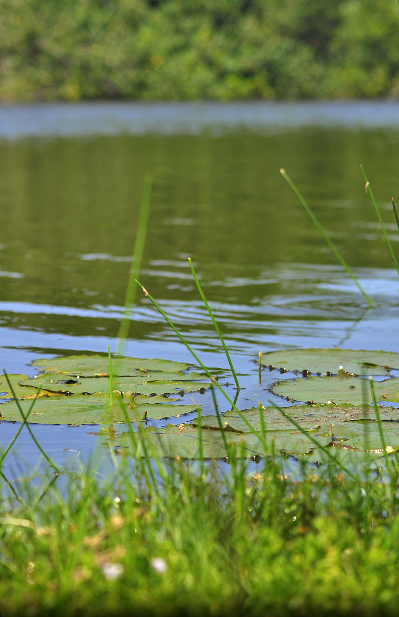 土壤储水量、有效水储量和最大有效水储量计算实例