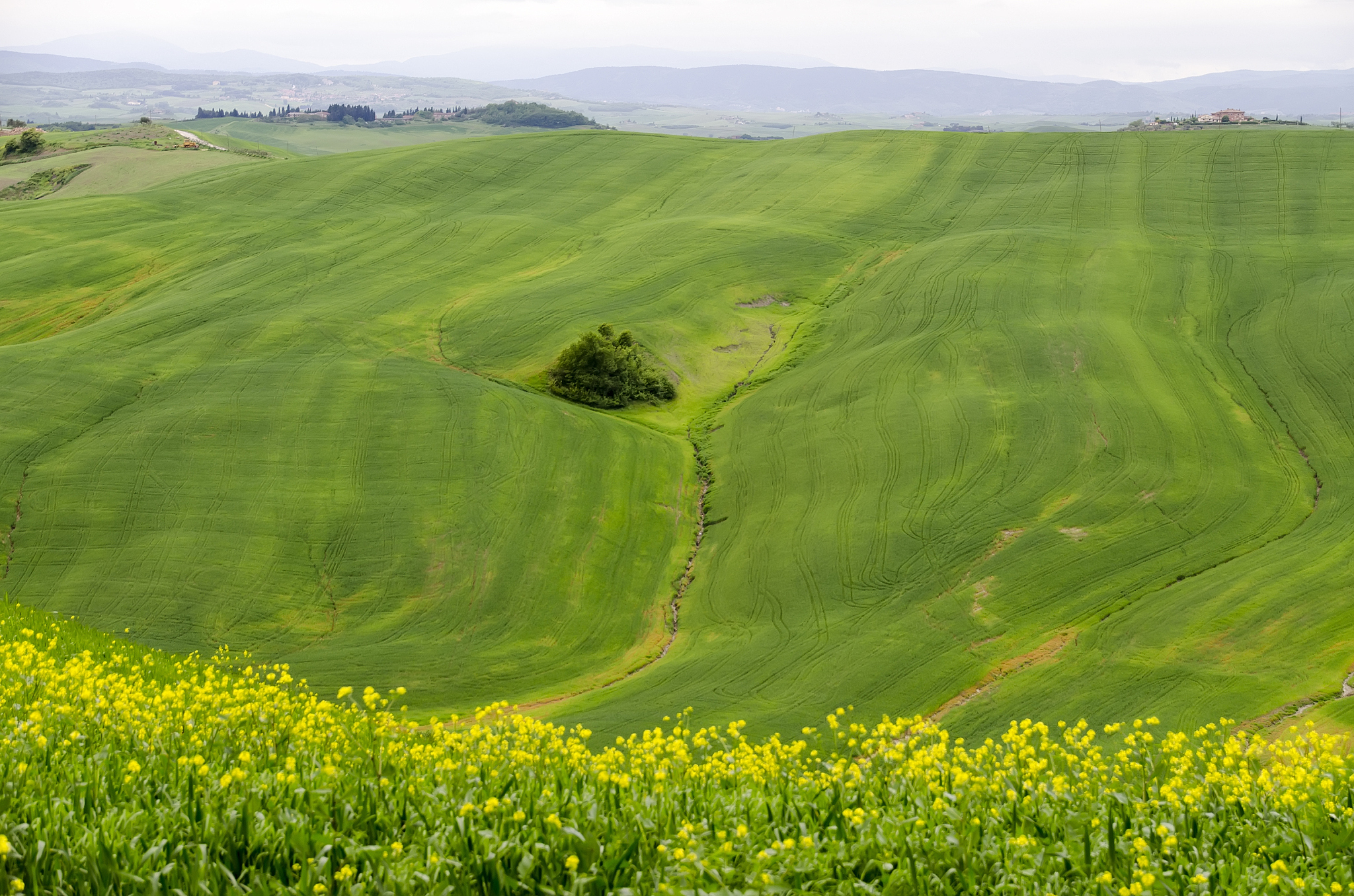 landscape of tuscany