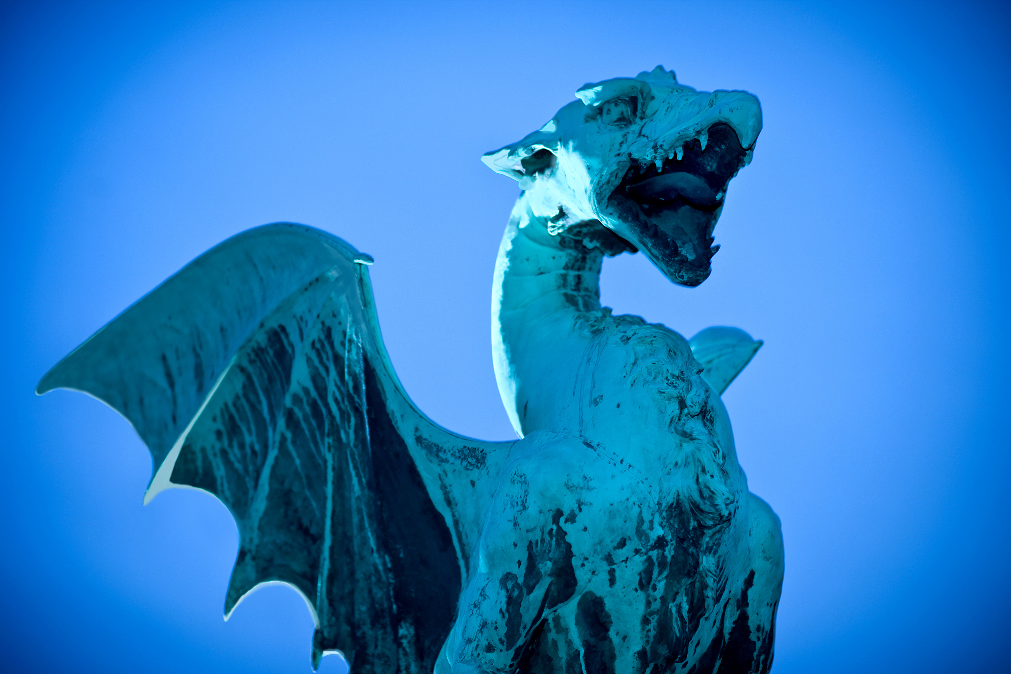 dragon