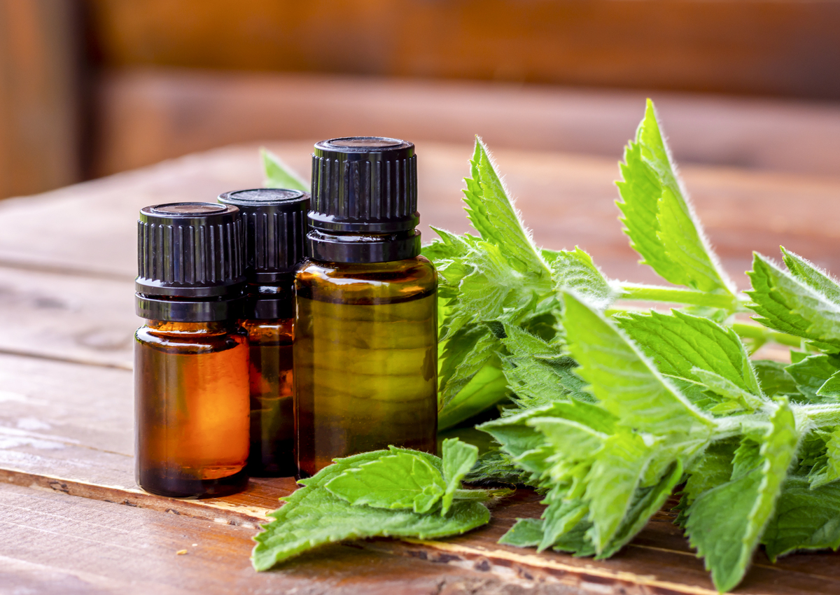 日本特殊精油桉摩