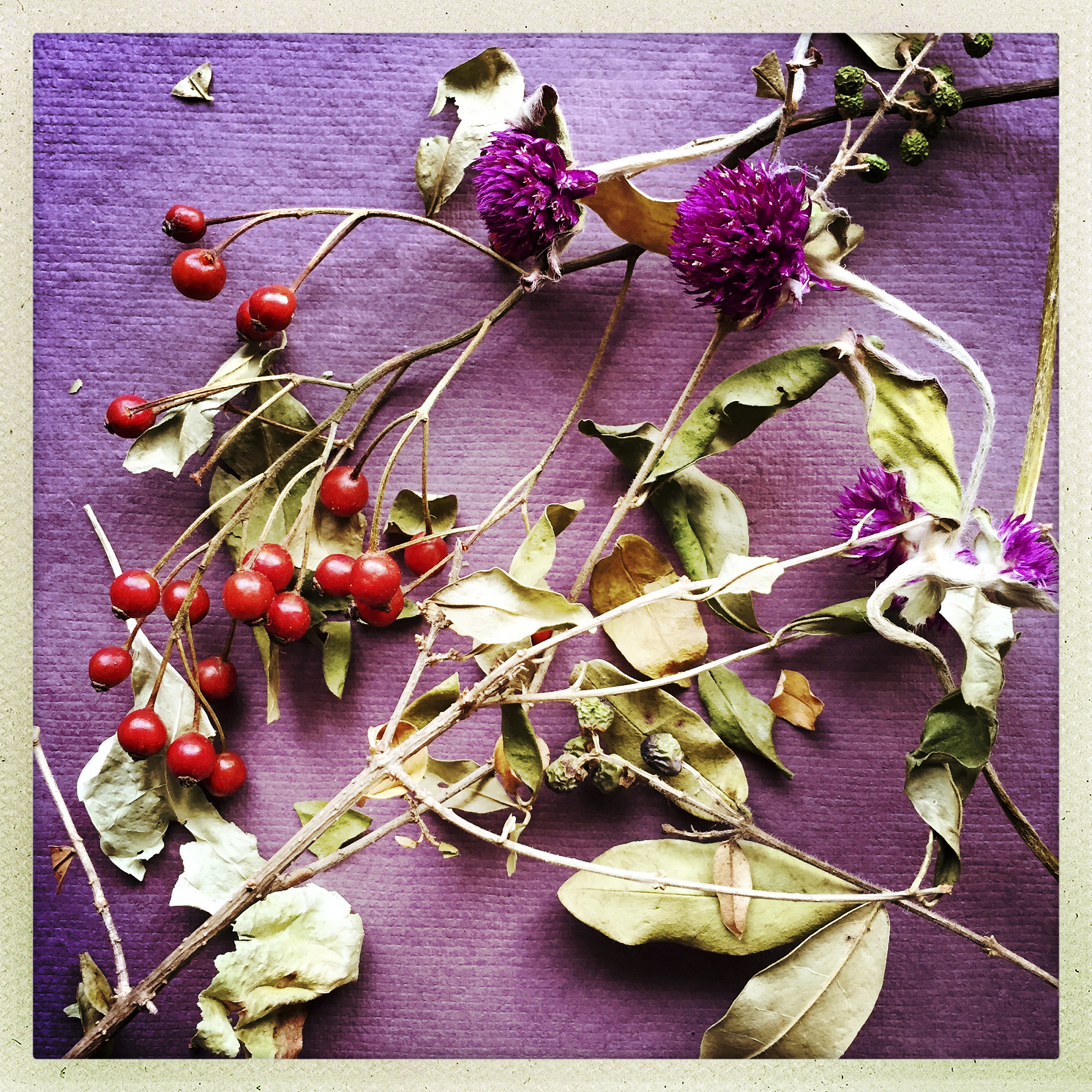 flowers, leaves and berries