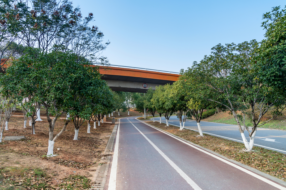 C30强度能达到110Mpα吗帮我用210字详细描述