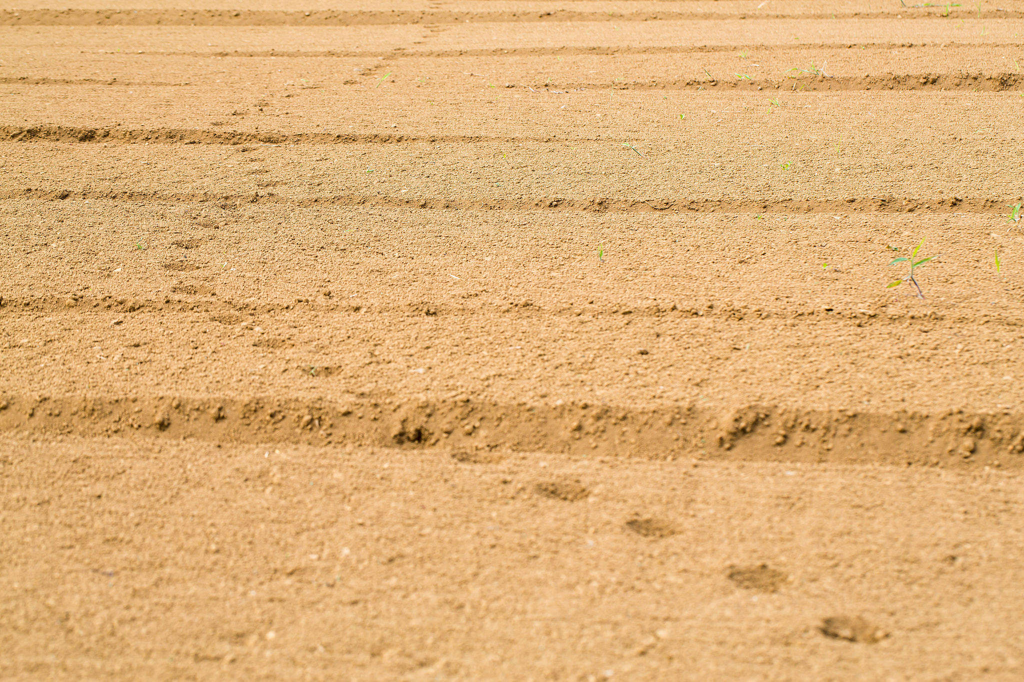 field that leveled the soil