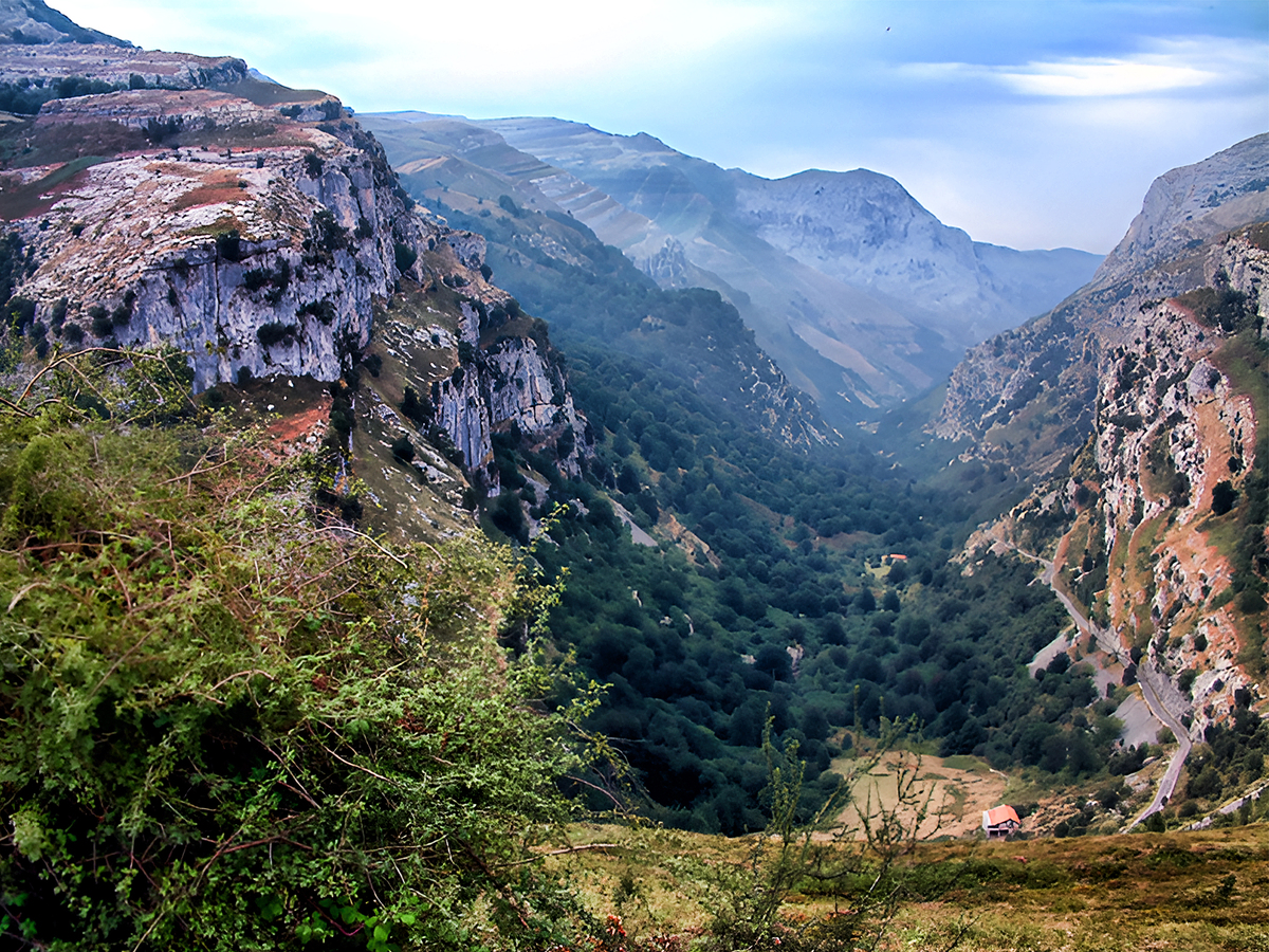 淄博大野草旅游攻略：山东省必打卡景点