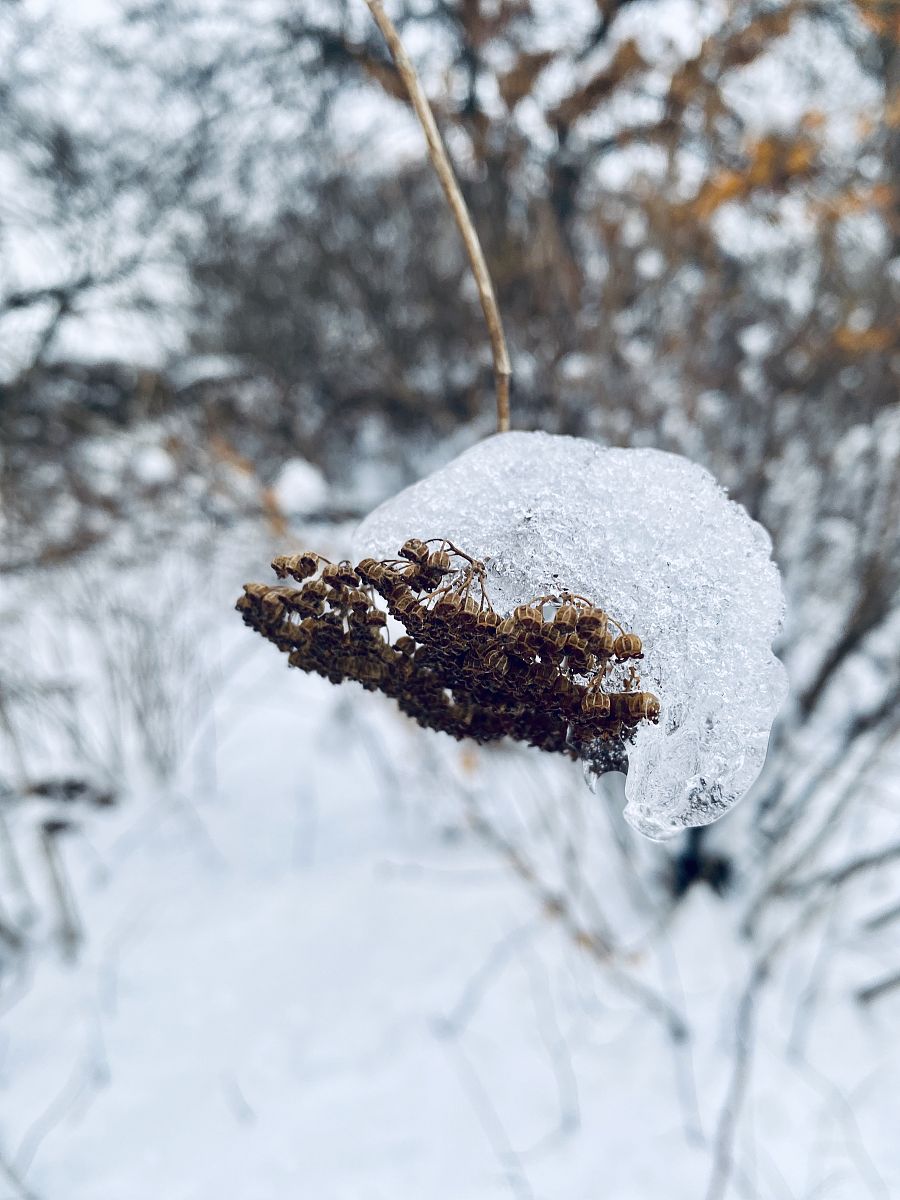 不同时长采用不同的化霜控制策略