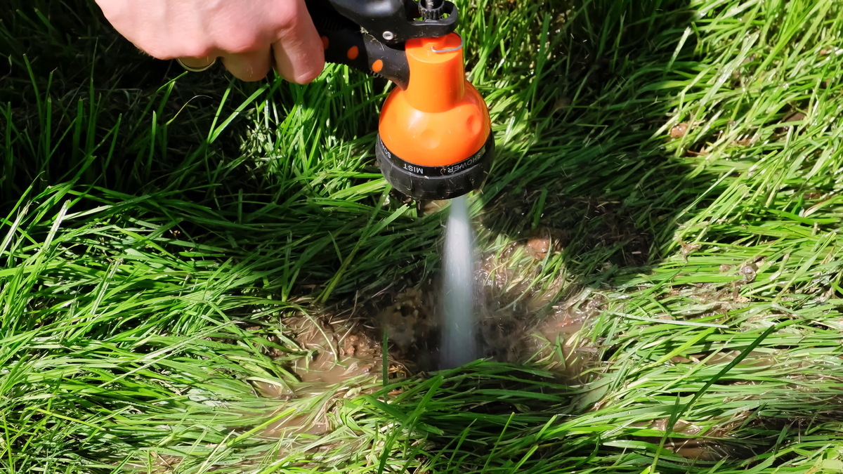 用美式英语写3条关于8Patterns Water Nozzle Head Hose Sprayer Garden Spray Auto Car Washing Home的好评以及其好评标题。结果格式为输出格式为：标题+：+好评内容。